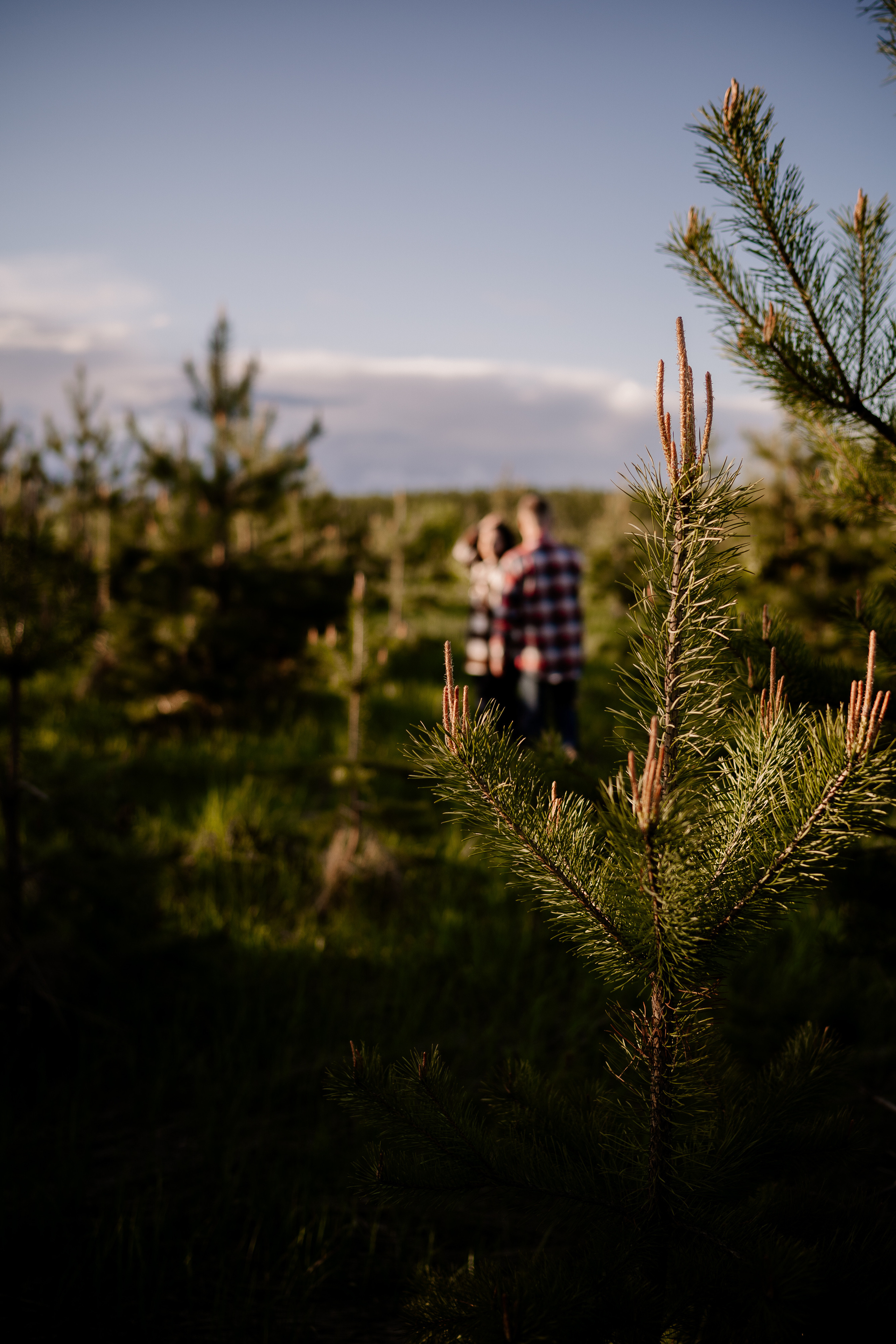DMITRY & MASHA. Искренний фотограф