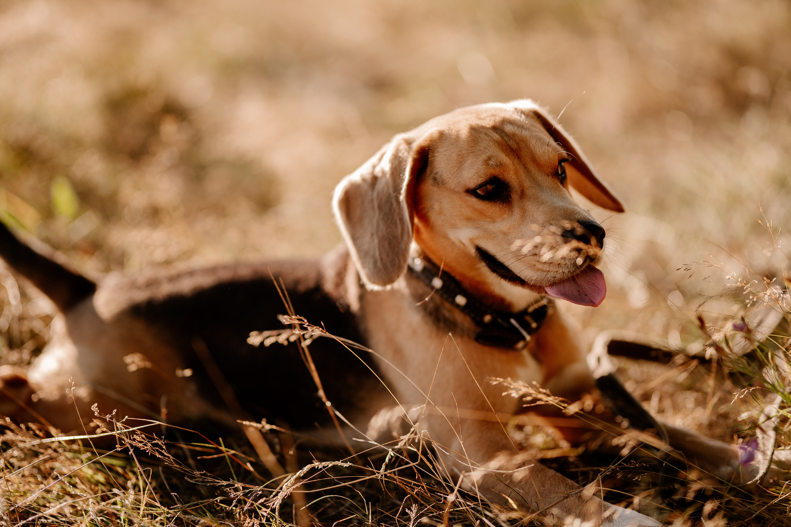 Семья Челышевых. Искренний фотограф