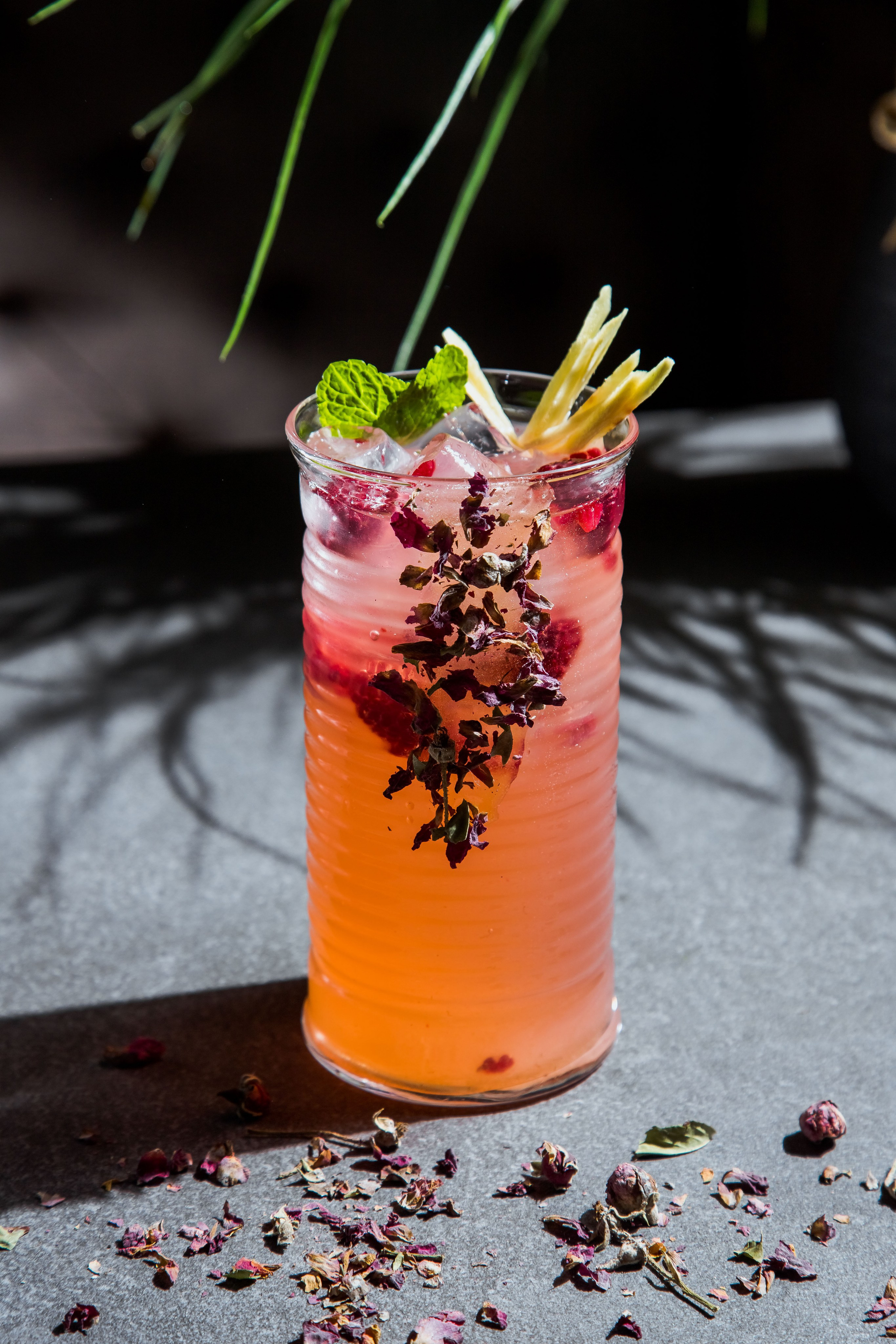 Loftcafe. Свадебный фотограф в Нальчике Алим Джаппуев