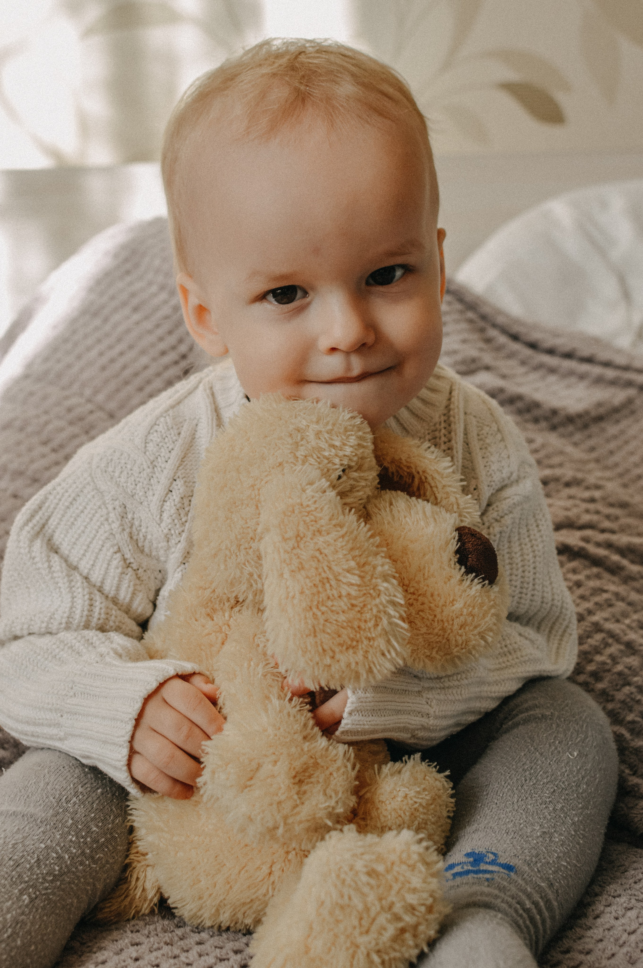 Домашняя история. Meryfotoidea