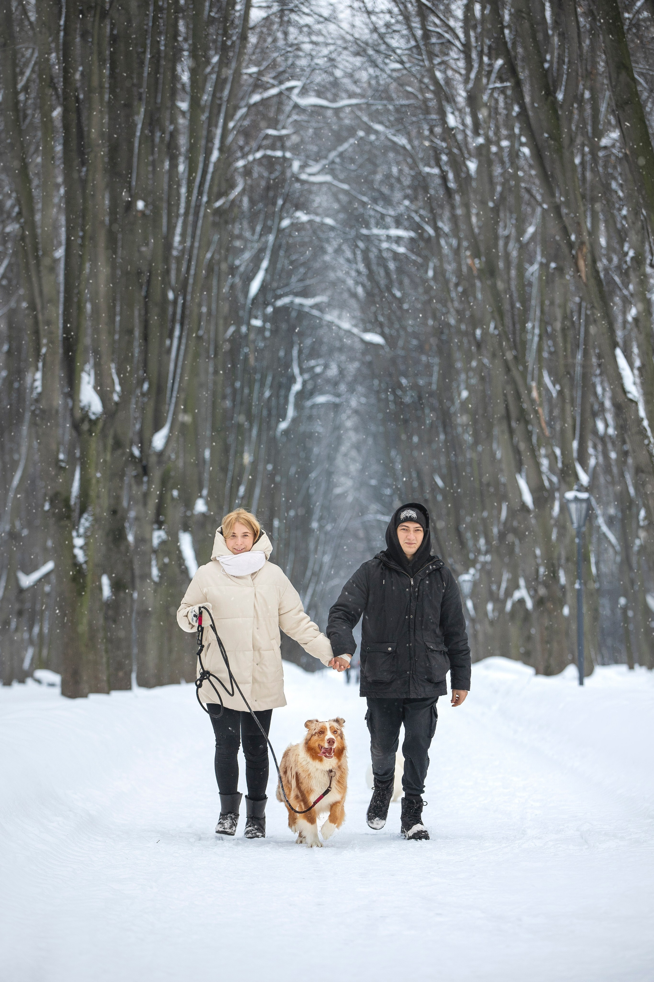 Настя, Игорь, Тесс и Марс. Фотограф анималист в Москве Майорова Евгения