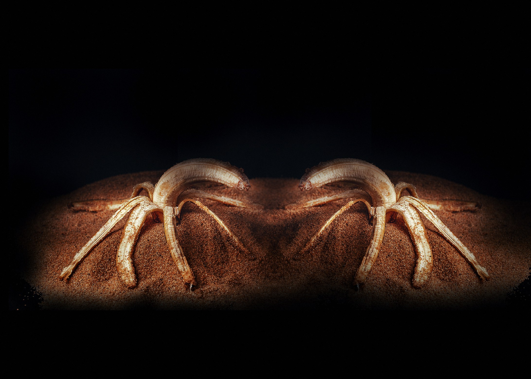 Красота тоже рядом с нами. Медиапродюсер, фотограф в Минеральных Водах —Виктор Холодов