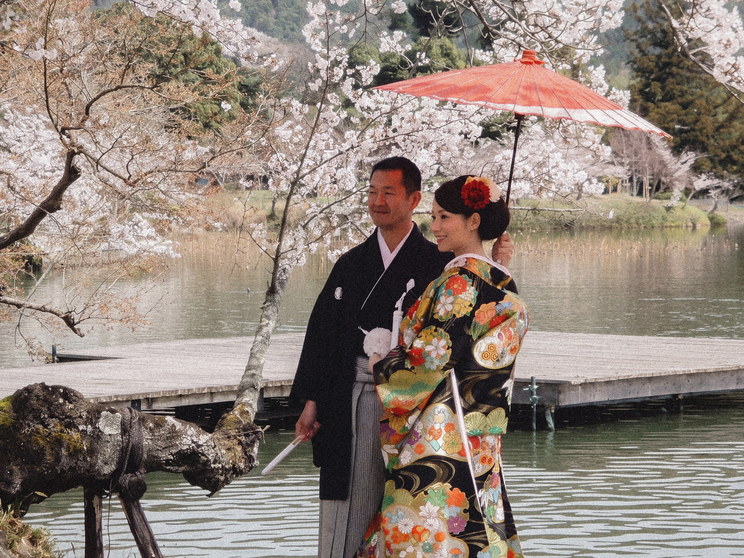 Japan. Фотограф Cyberkyrie