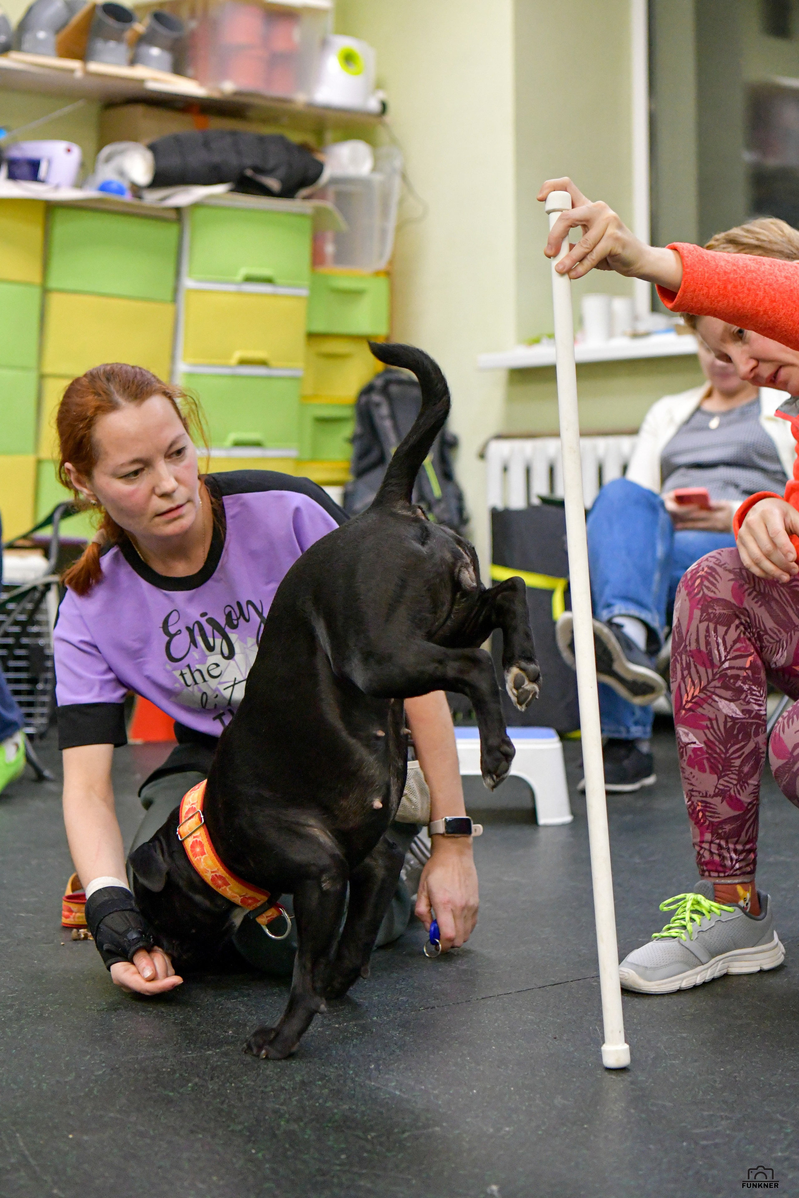 Кинологический клуб «Бодрый хвост». Свой взгляд через объектив