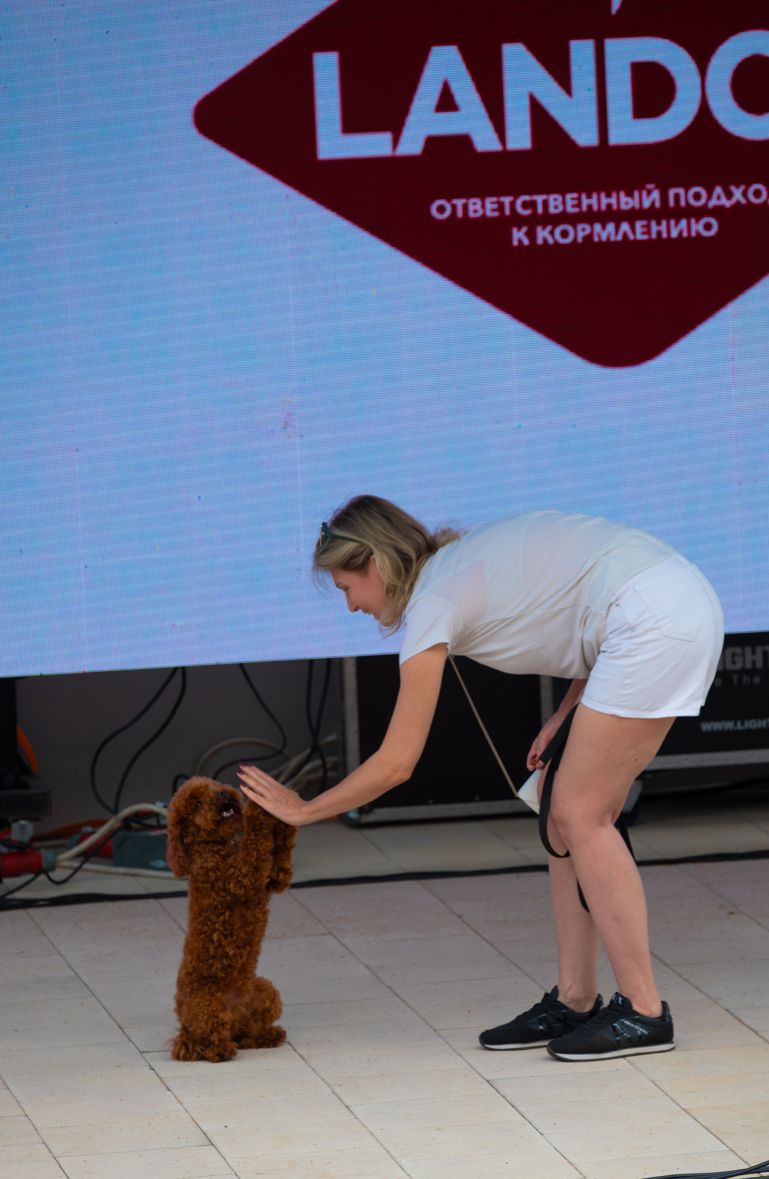 Pets Fest. Юлия Чайко, фотограф в Минске