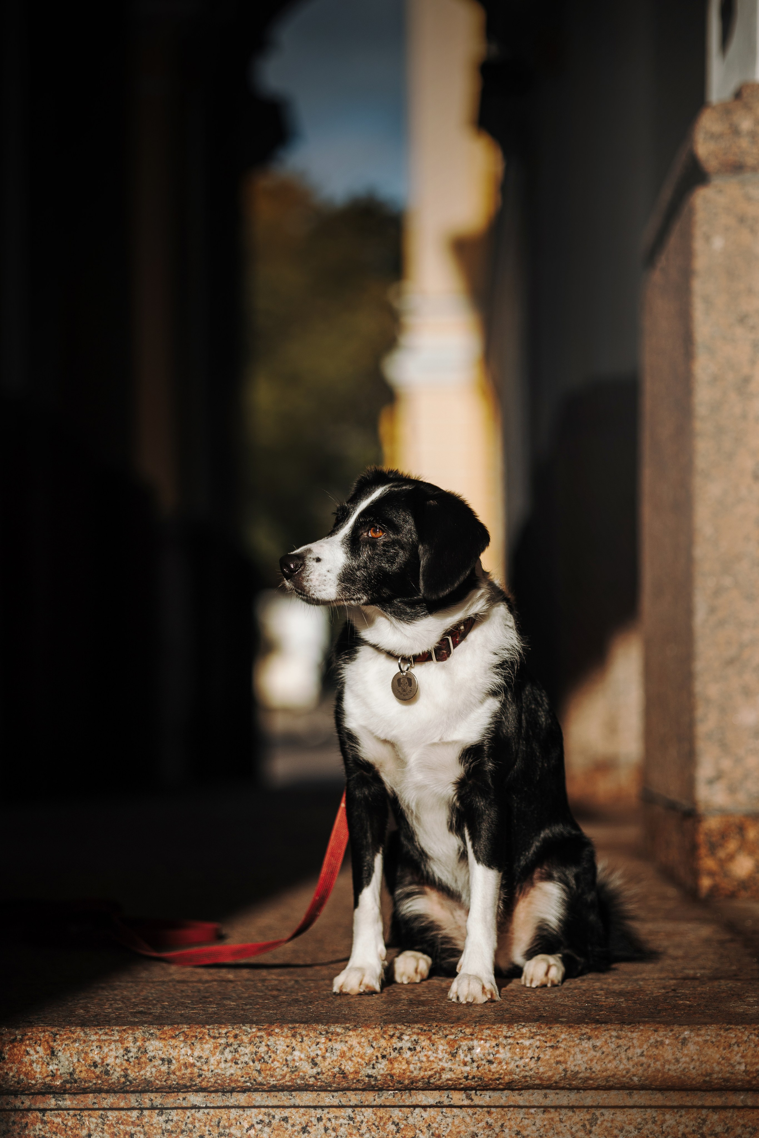 Мишель и ее семья. Фотограф — Анималист | Санкт-Петербург