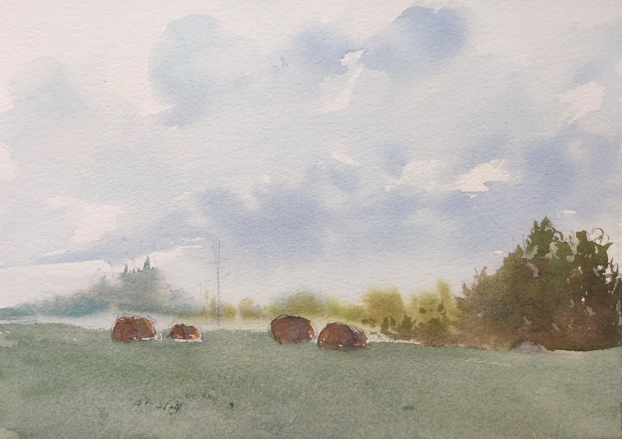 Zorkaltsevo, Tomsk Suburbs | Aug 2024 | A4