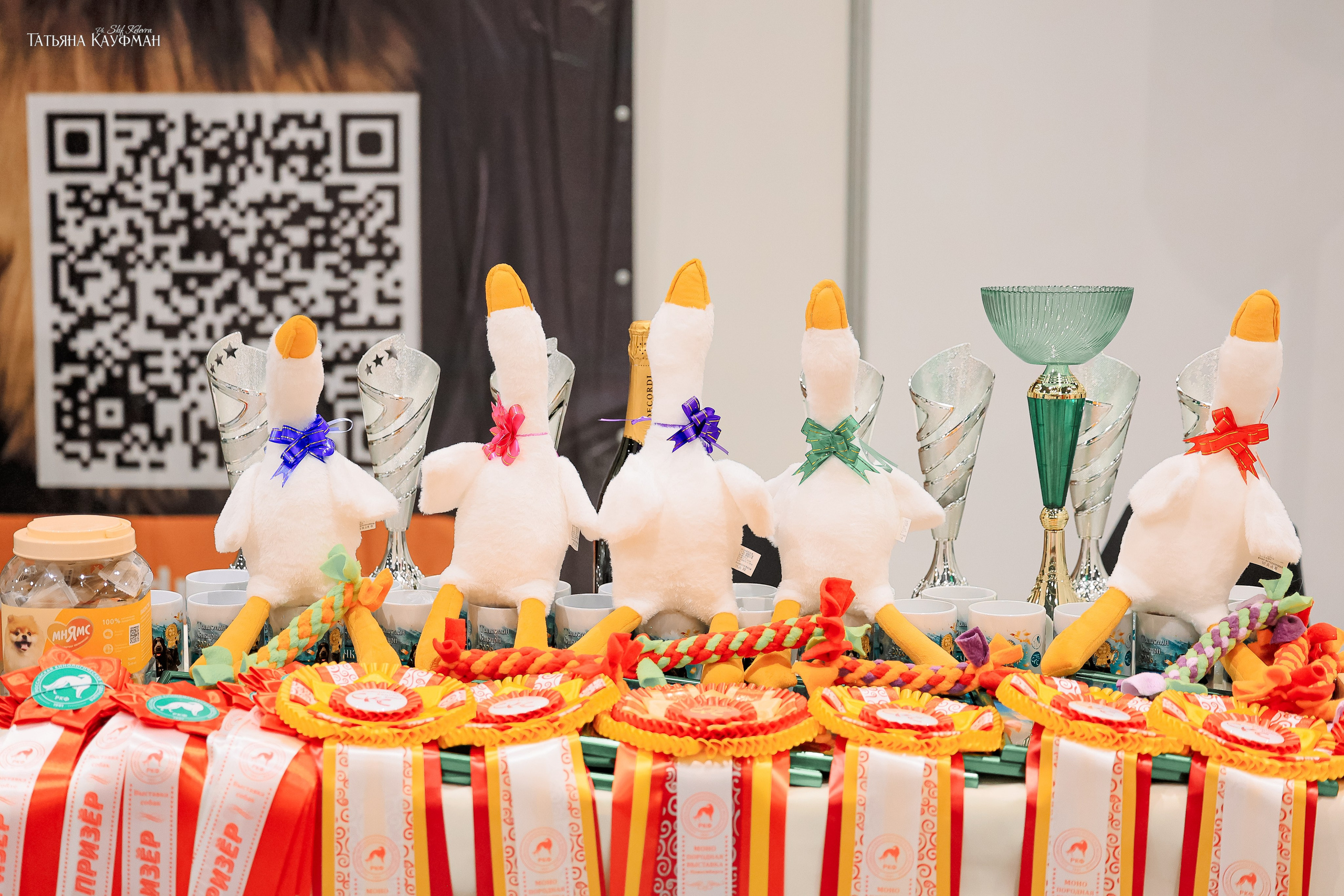 28-29.03.2026 Рейтинговая выставка в Новосибирске. Фотограф Анималист из Новосибирска Татьяна Кауфман