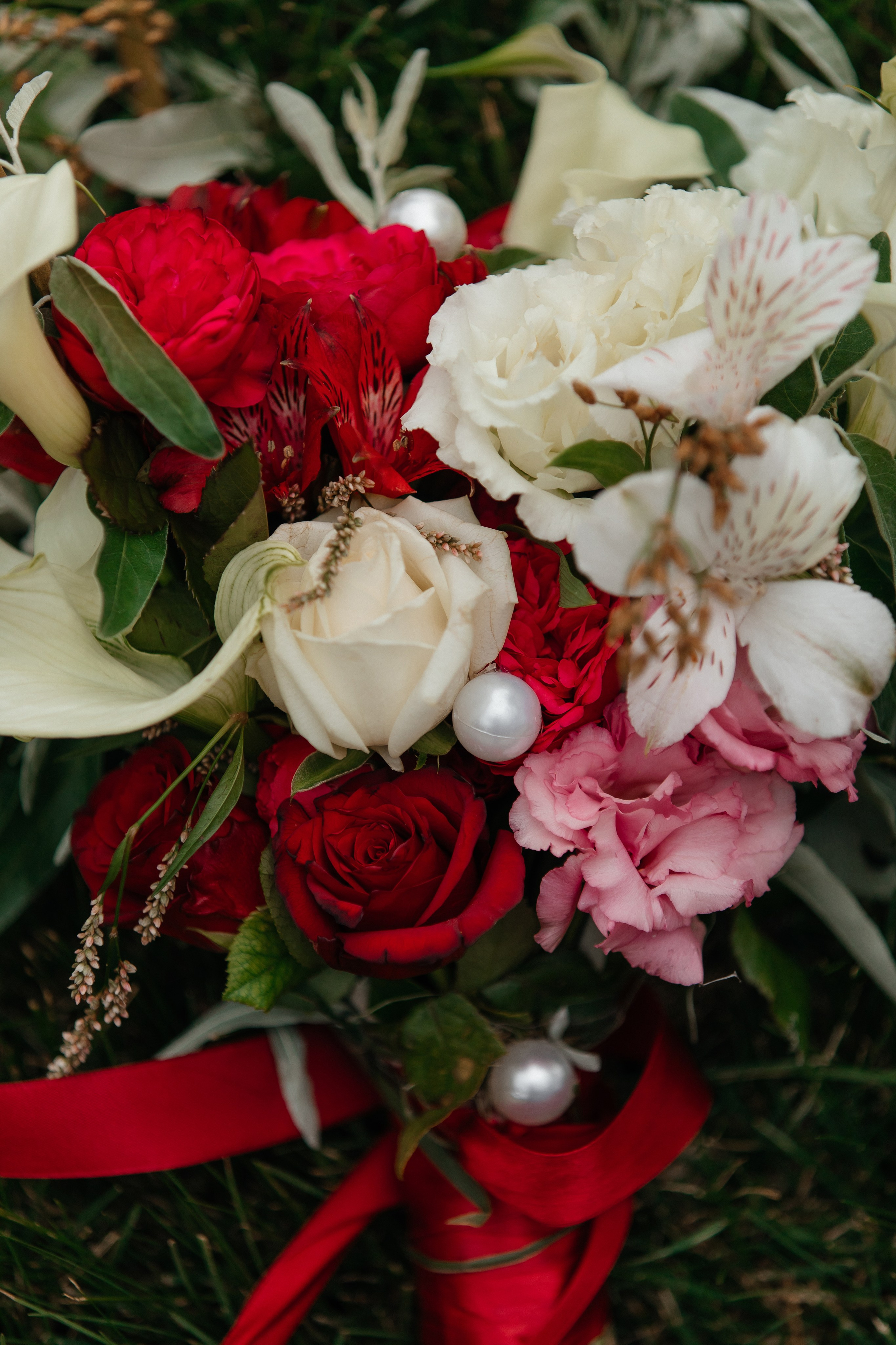 И&И. Фотограф Таганрог Хребет София