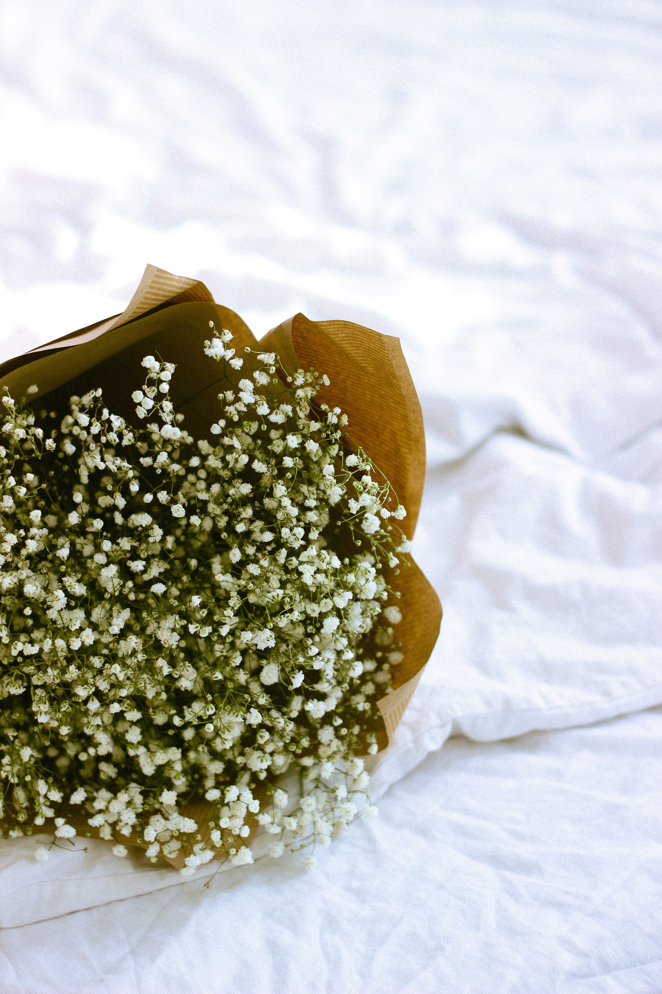 Саша. Свадебный и индивидуальный фотограф в Волгограде Епихина Надежда