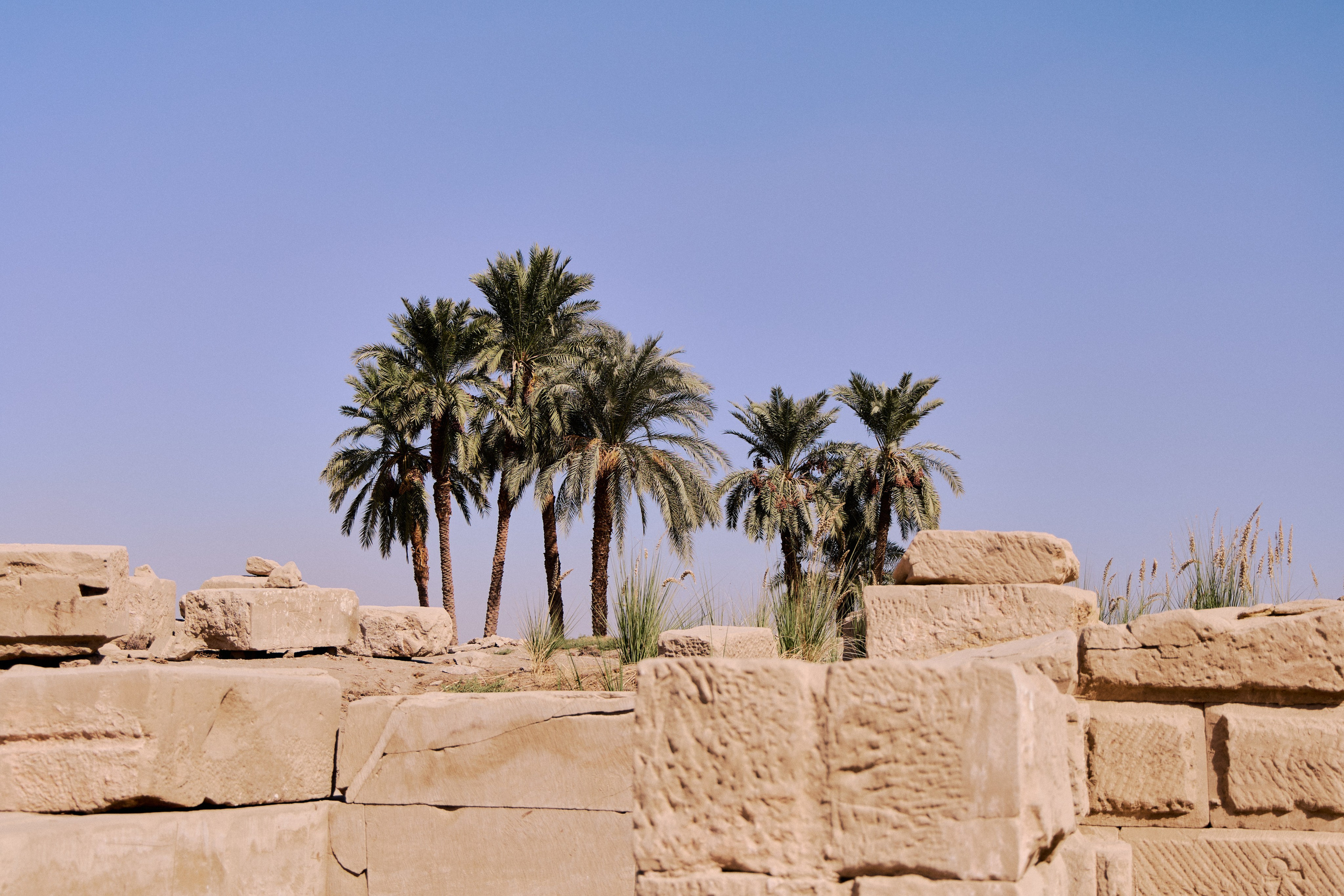 Другое 4. Jorgis — фотограф в Хургаде / обучение фотографии