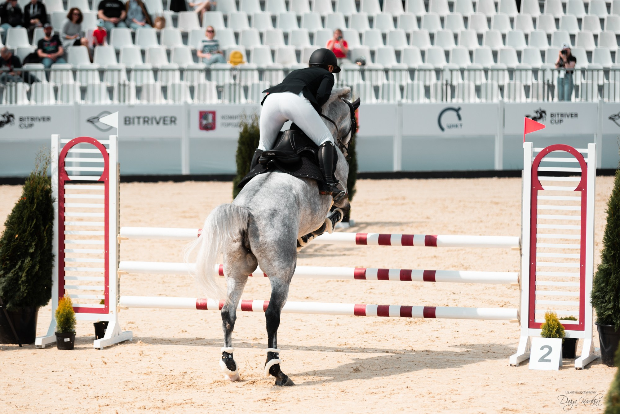 BITRIVER CUP 2023. Конный фотограф Куракина Дарья • Фотосессии с лошадьми