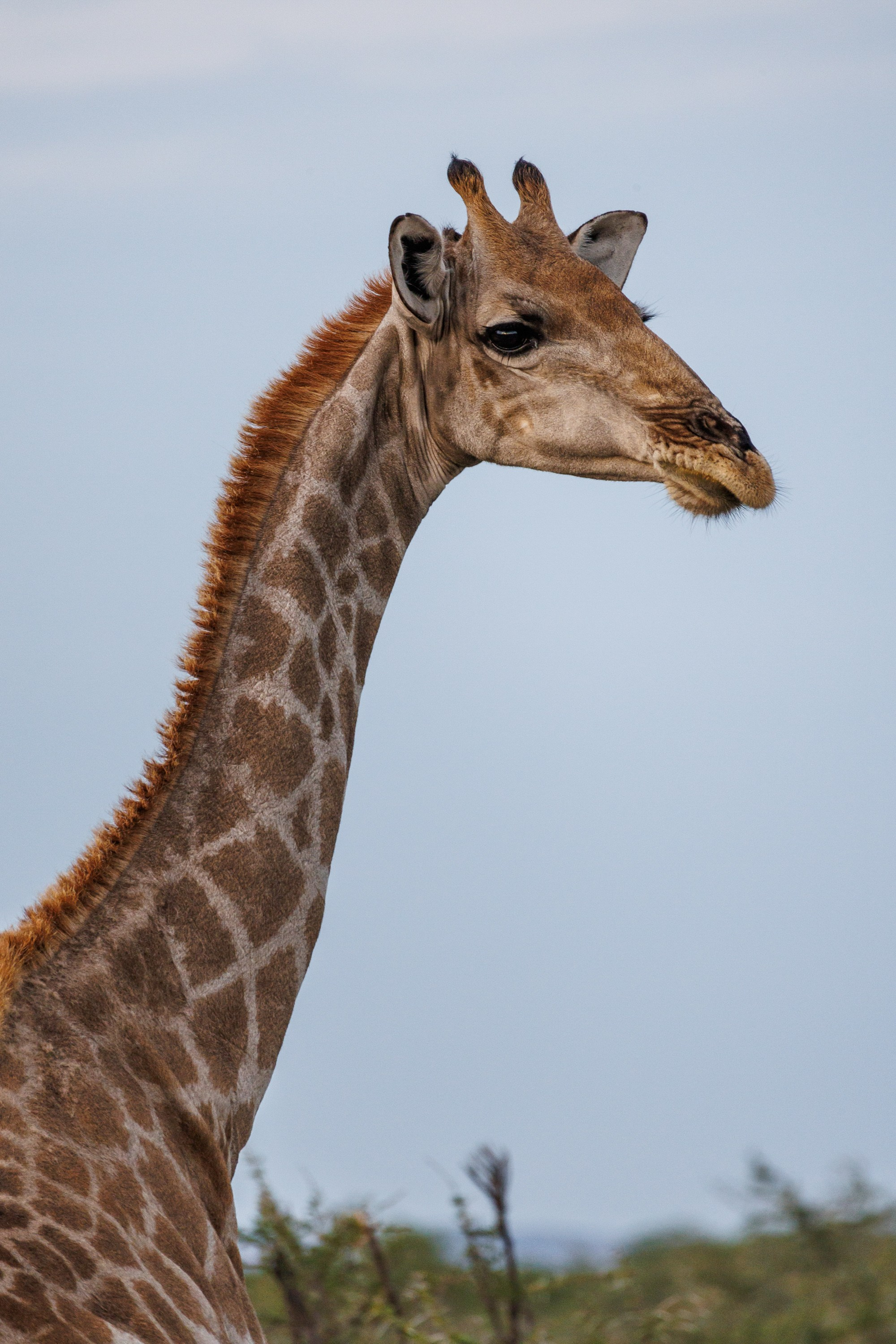 НАМИБИЯ. Роадтрип