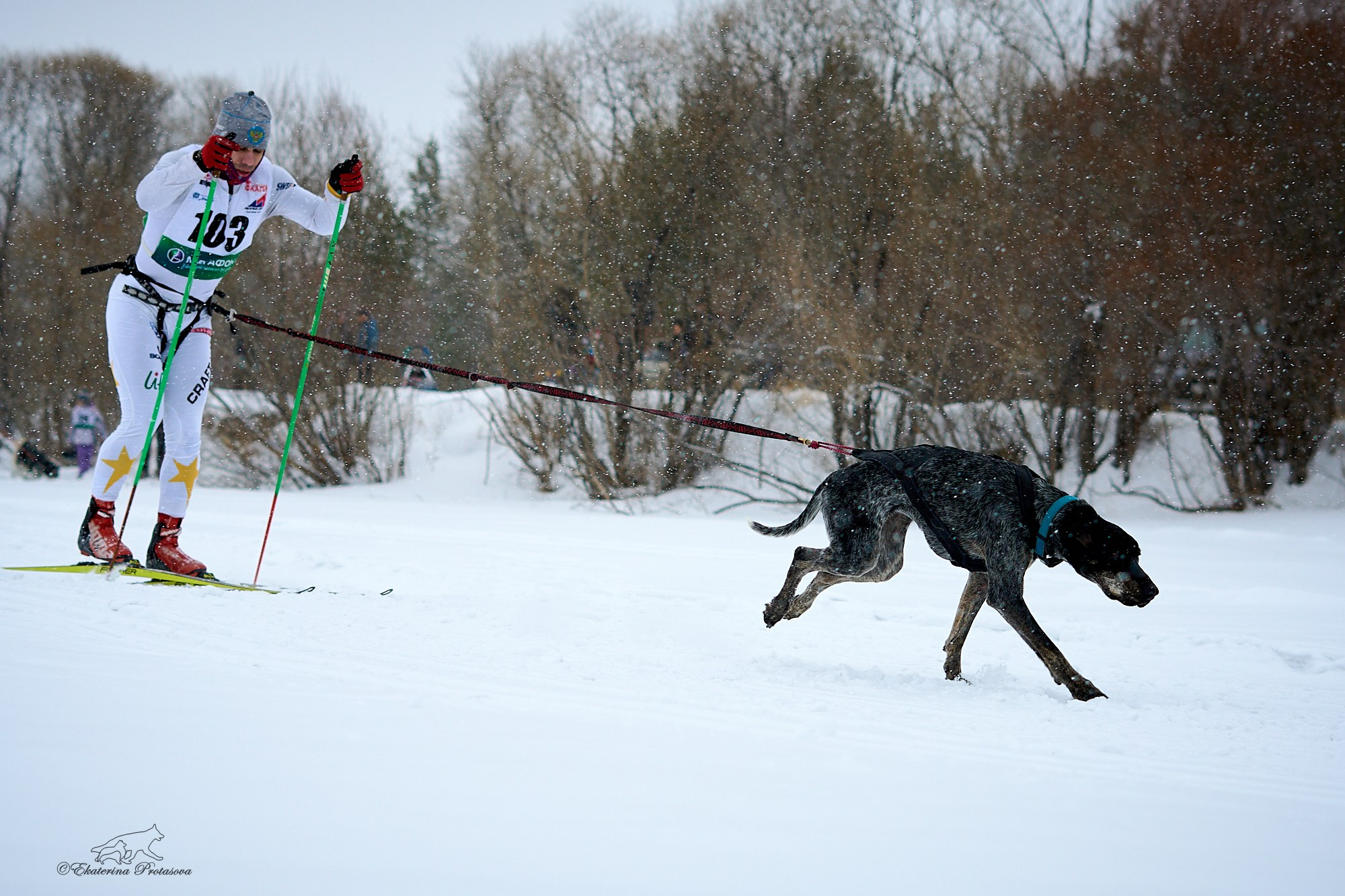 Соревнования по скиджорингу. Фотограф-анималист в Иркутске