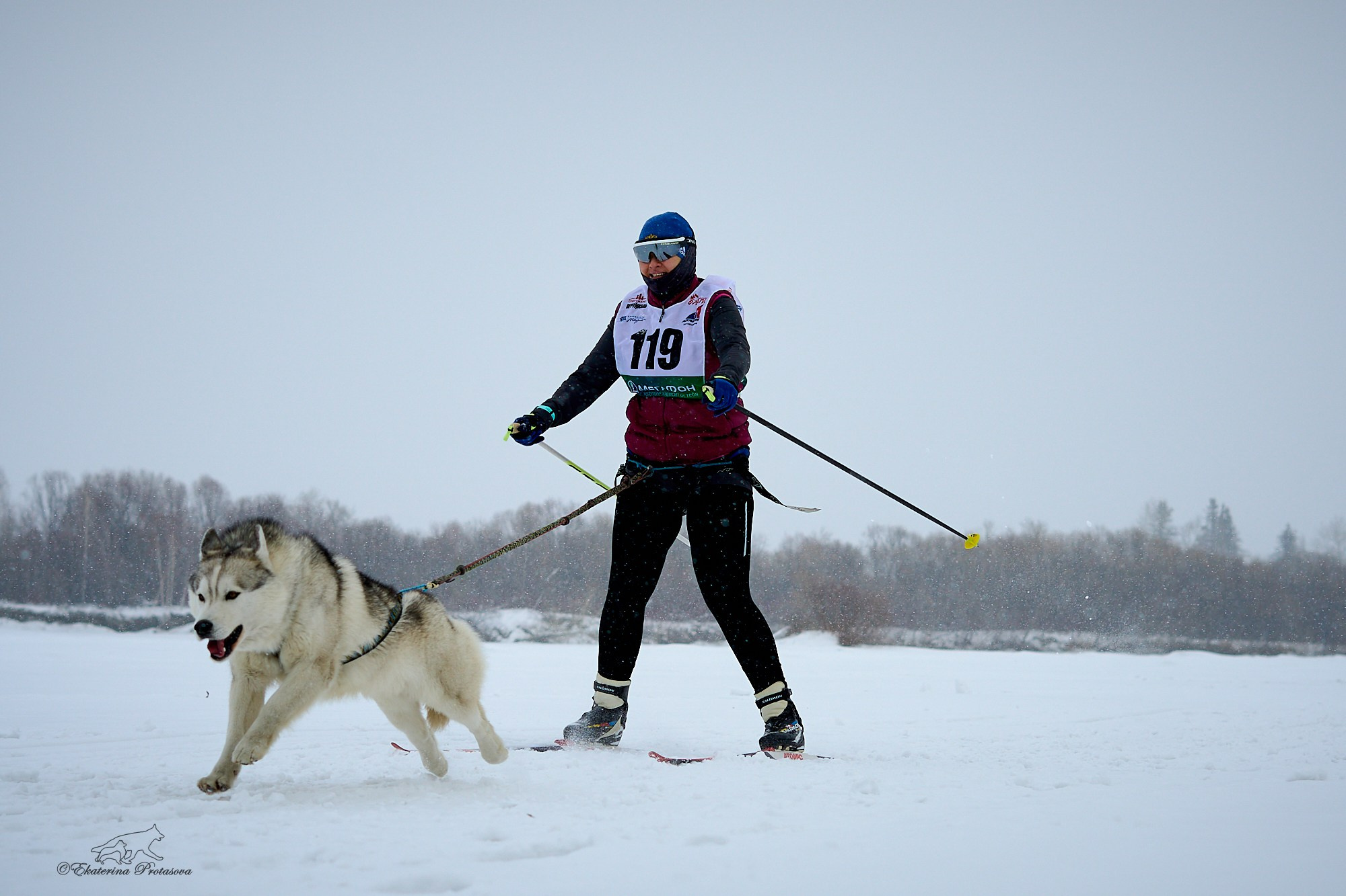 Соревнования по скиджорингу. Фотограф-анималист в Иркутске