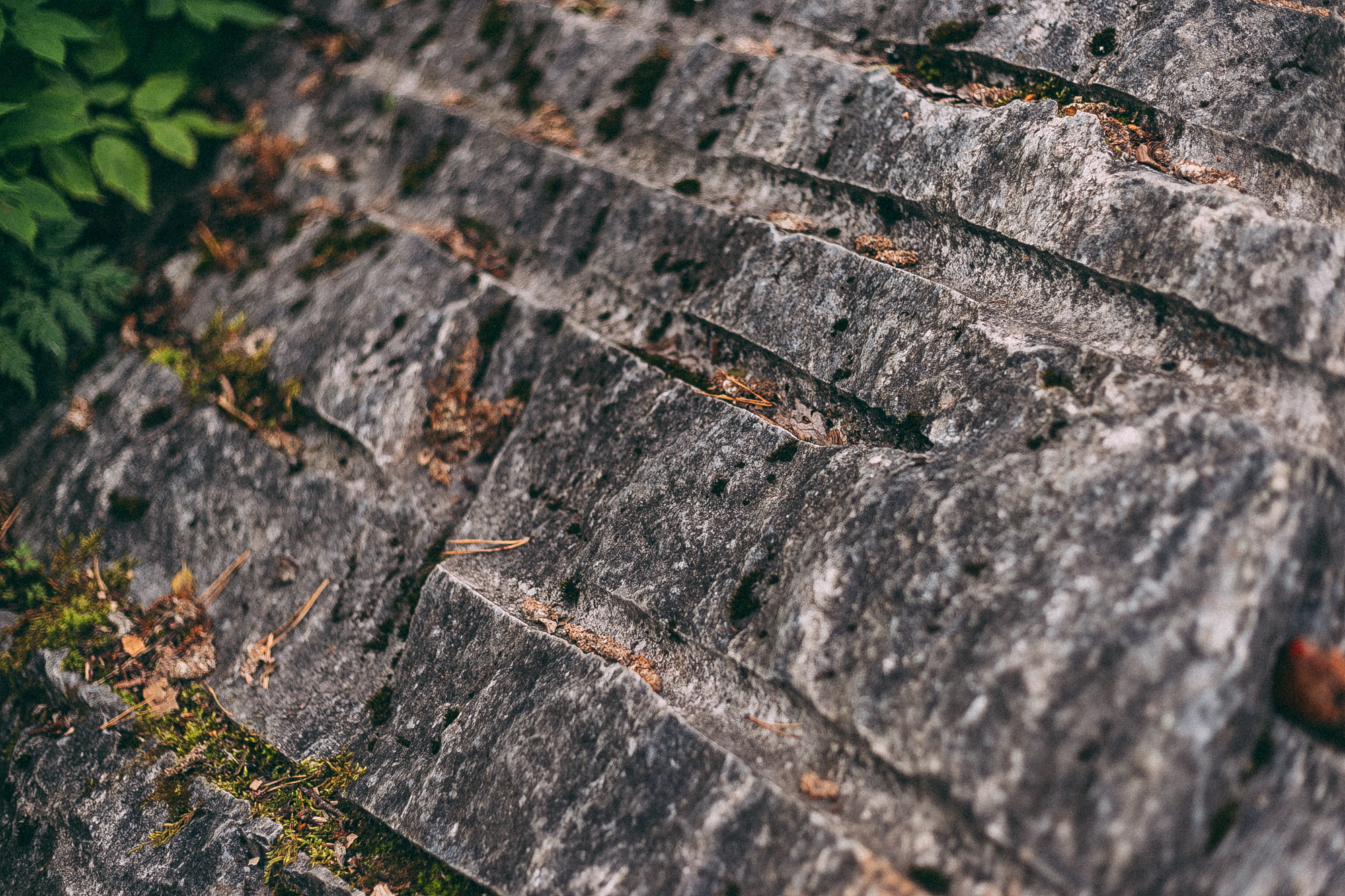 Рускеала. Даша Яковенко Фотограф Спб