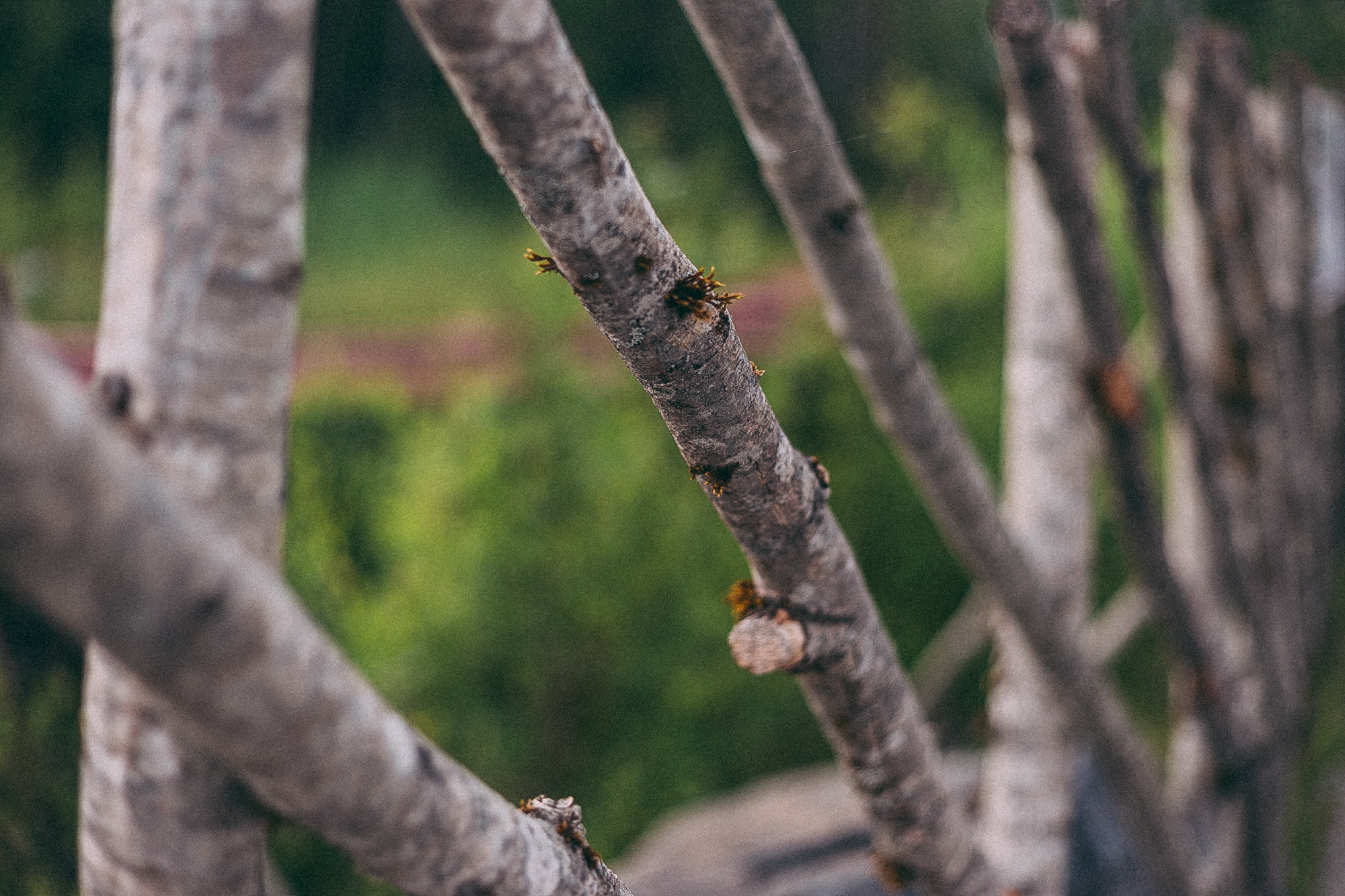 Рускеала. Даша Яковенко Фотограф Спб