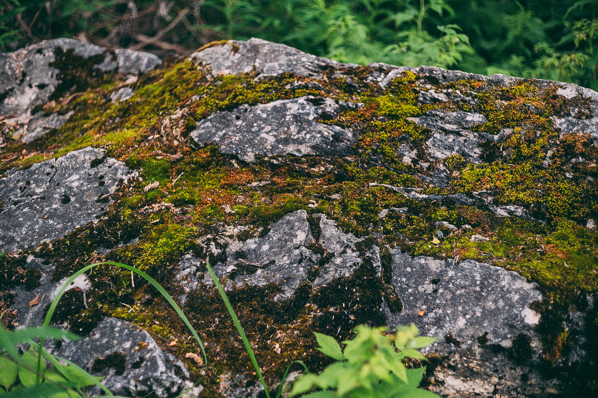 Рускеала. Даша Яковенко Фотограф Спб