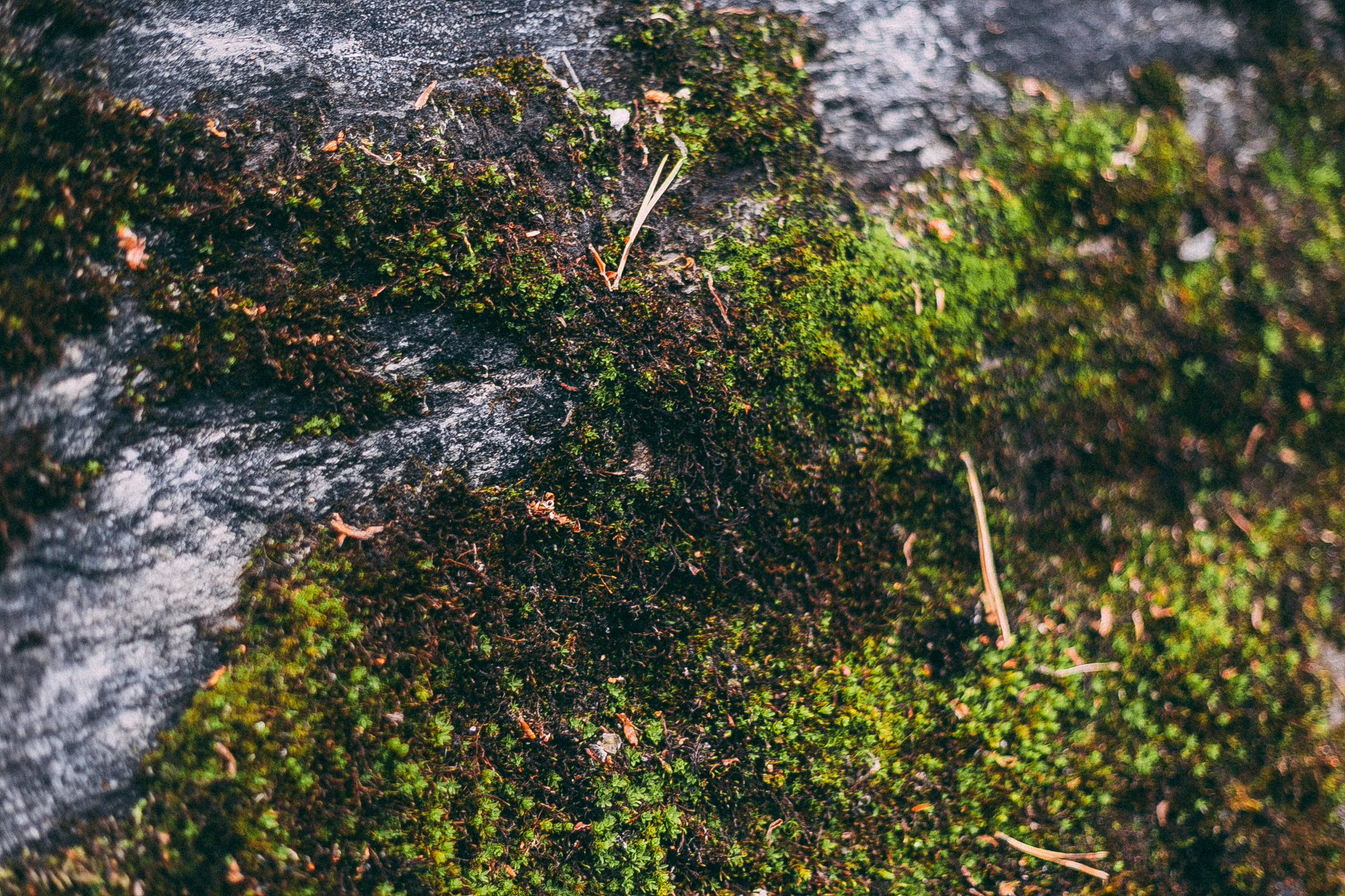 Рускеала. Даша Яковенко Фотограф Спб