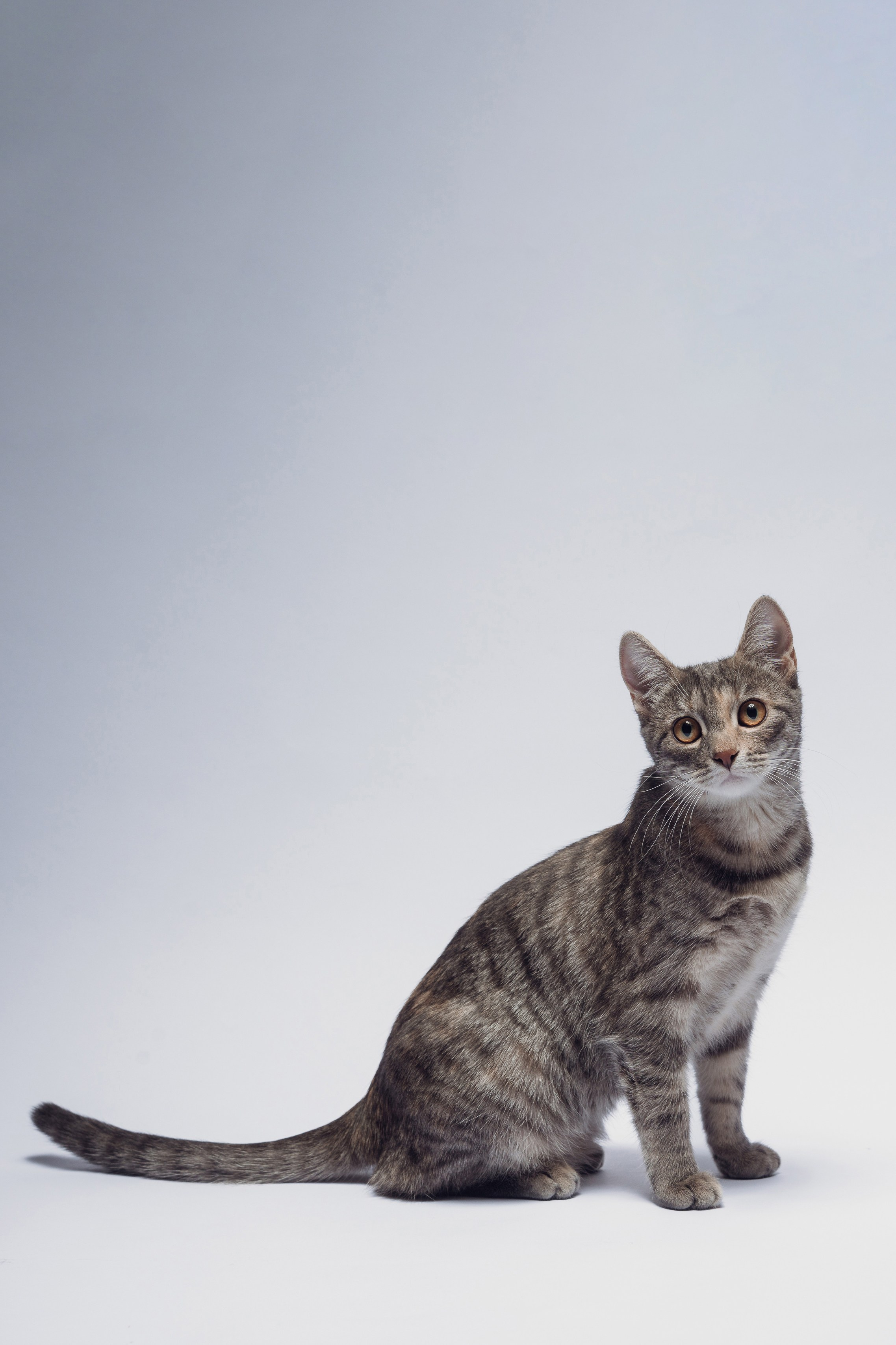 Смотреть фоточки. Альтимиров Руслан | Профессиональный фотограф в Москве