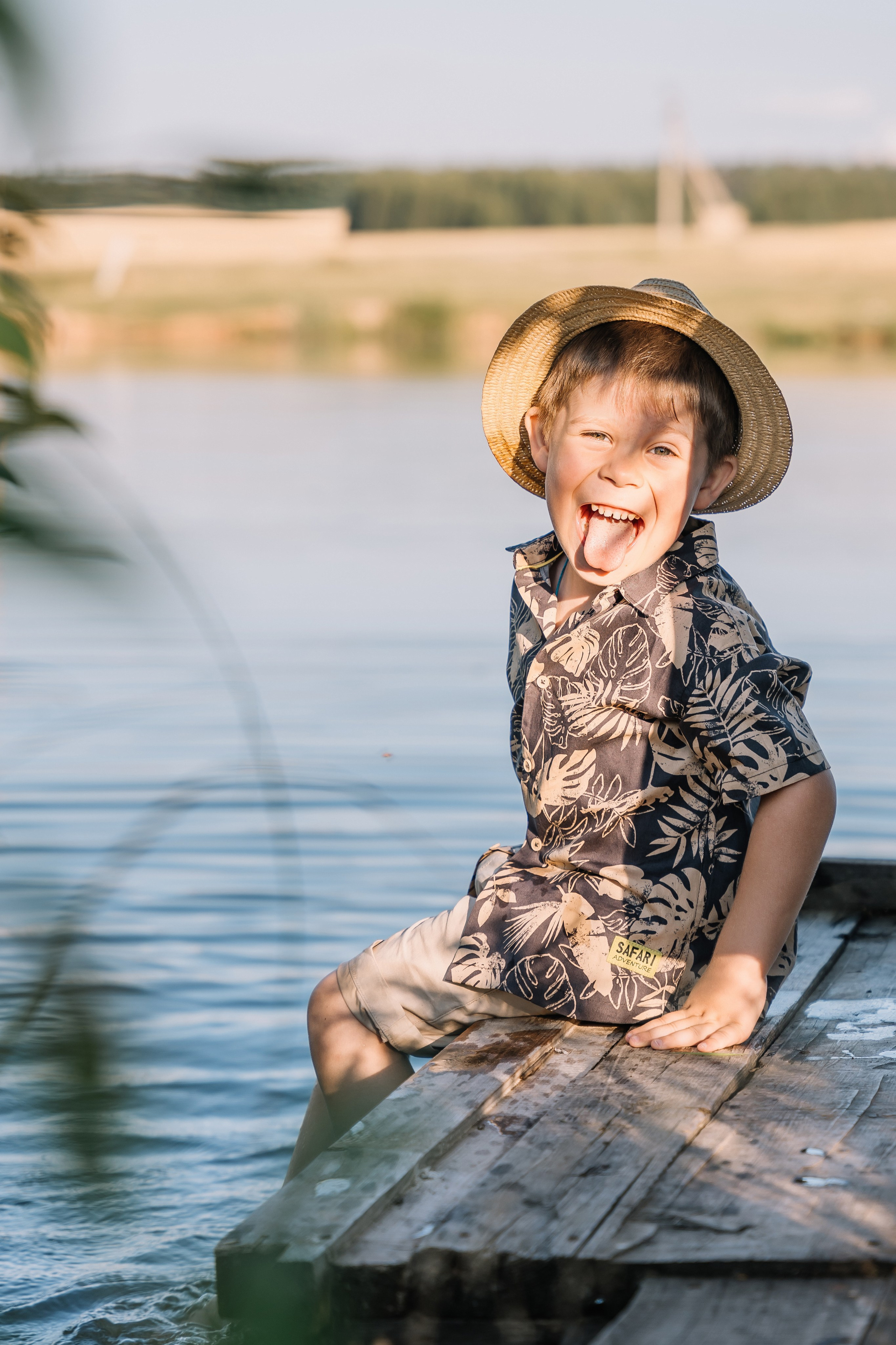 Гуси лебеди