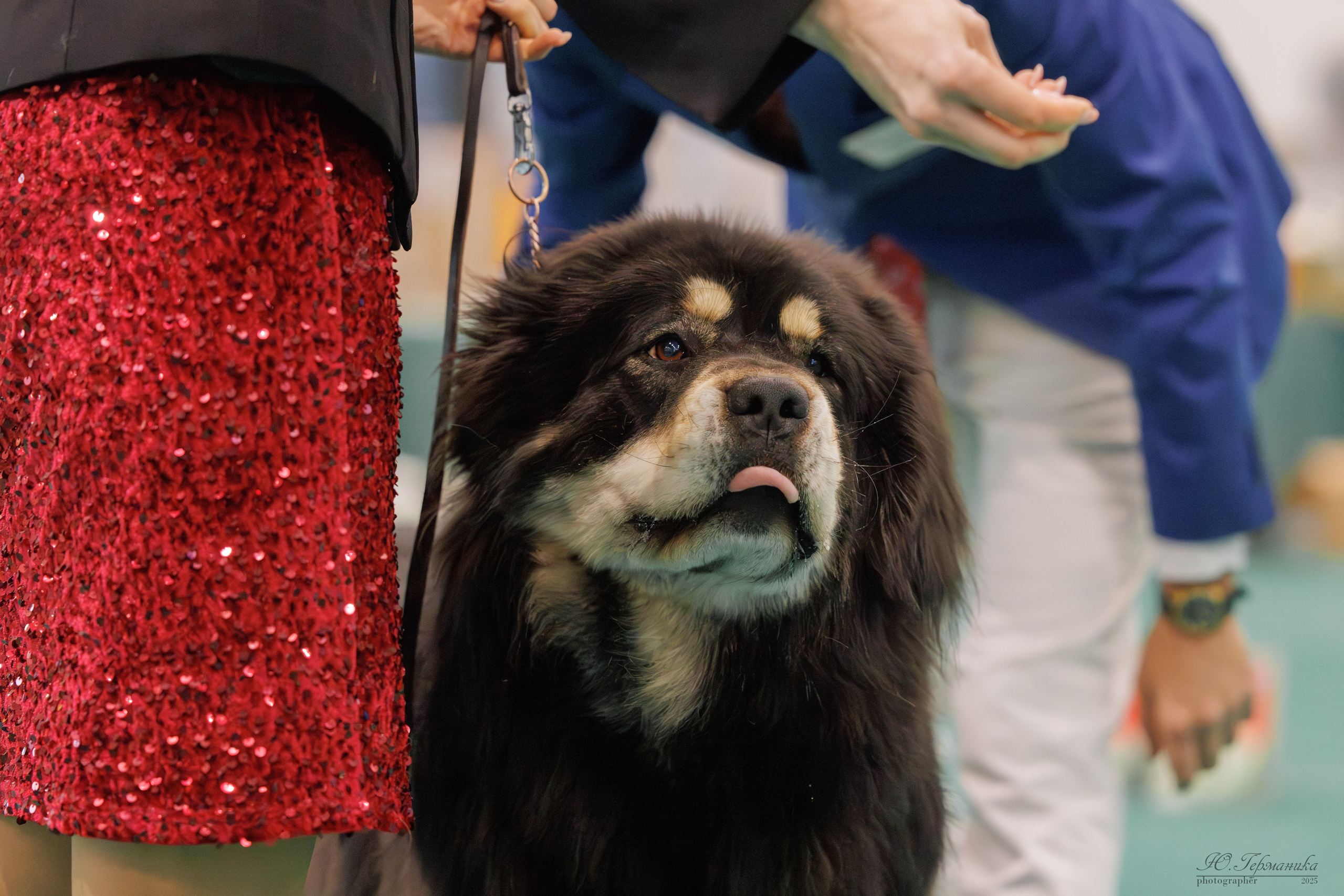 Минск 1-2.03.2025. Фотограф-анималист Юлия Германика