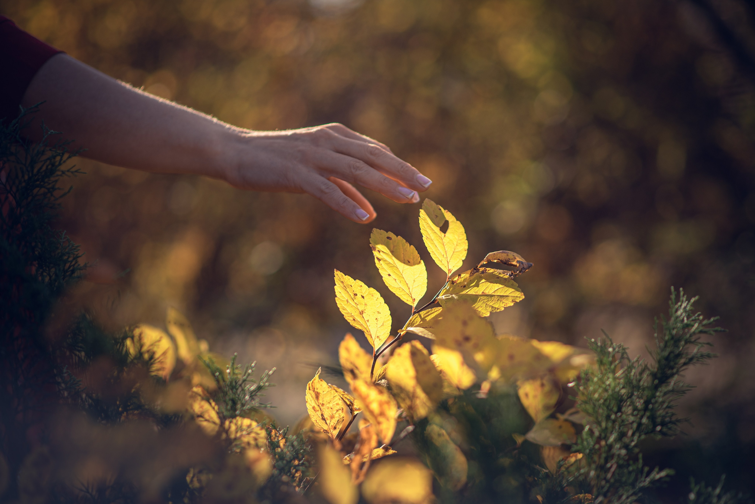 Женский портрет фотосессия. Душевная фотография от сердца к сердцу Марина Жиделева фотограф Москва