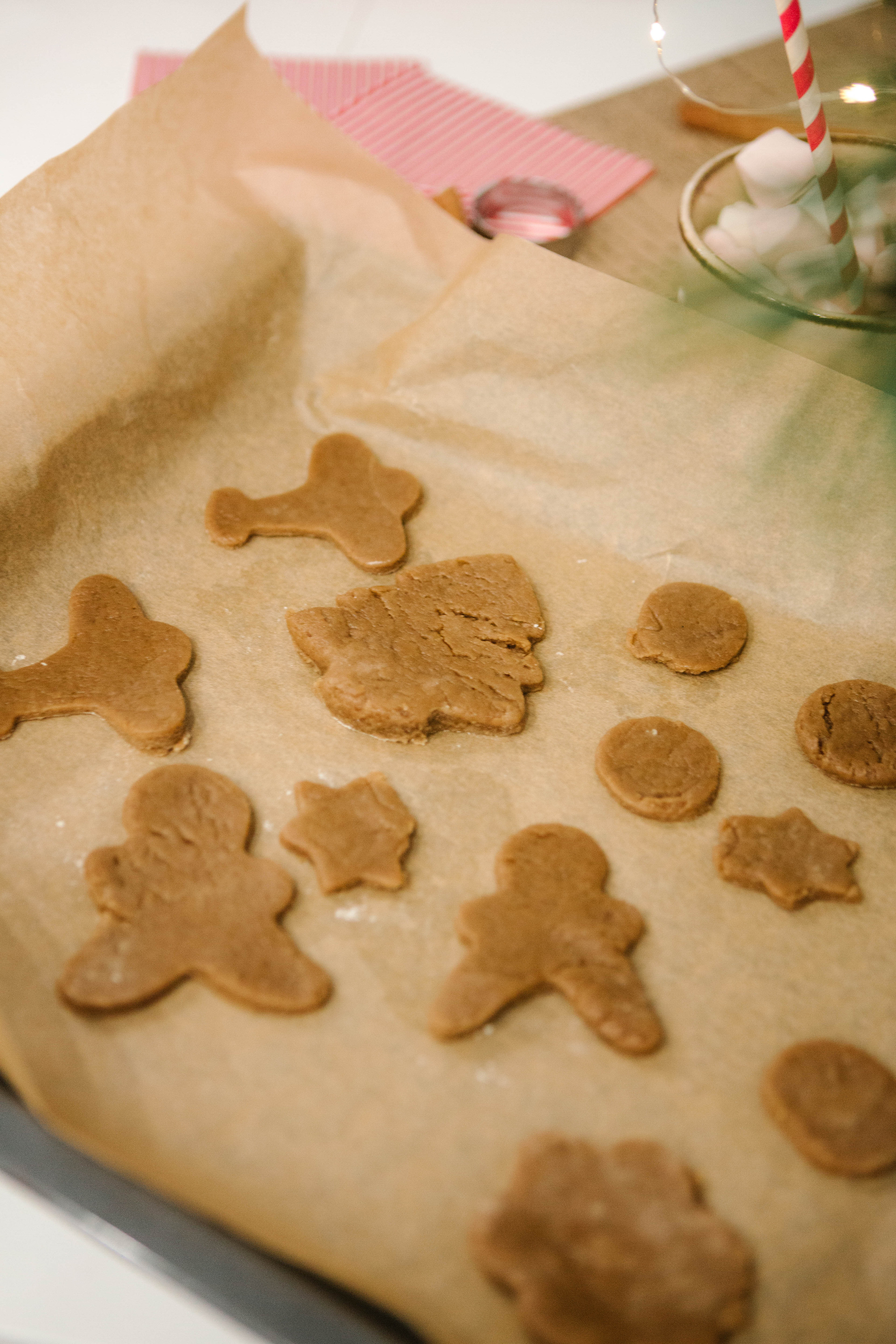 Новый год. Фотограф Александра Кузнецова