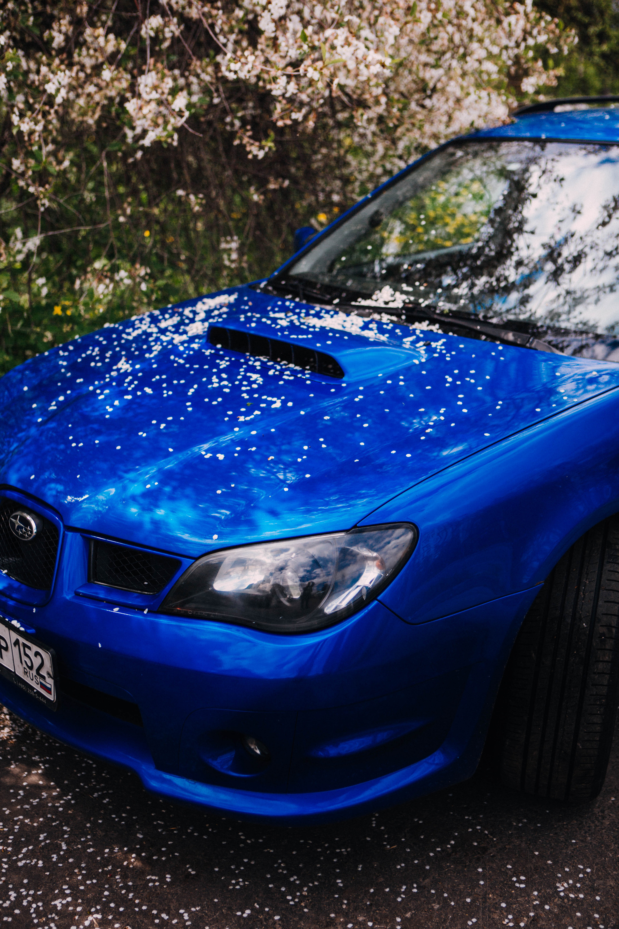 Субару. Фотограф Александра Кузнецова