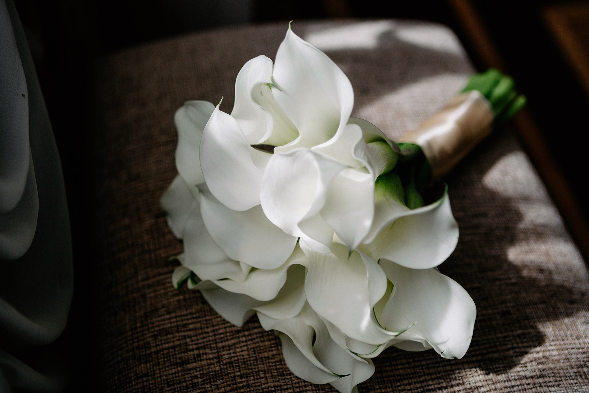 Ксения и Анатолий. Фотограф Александра Кузнецова