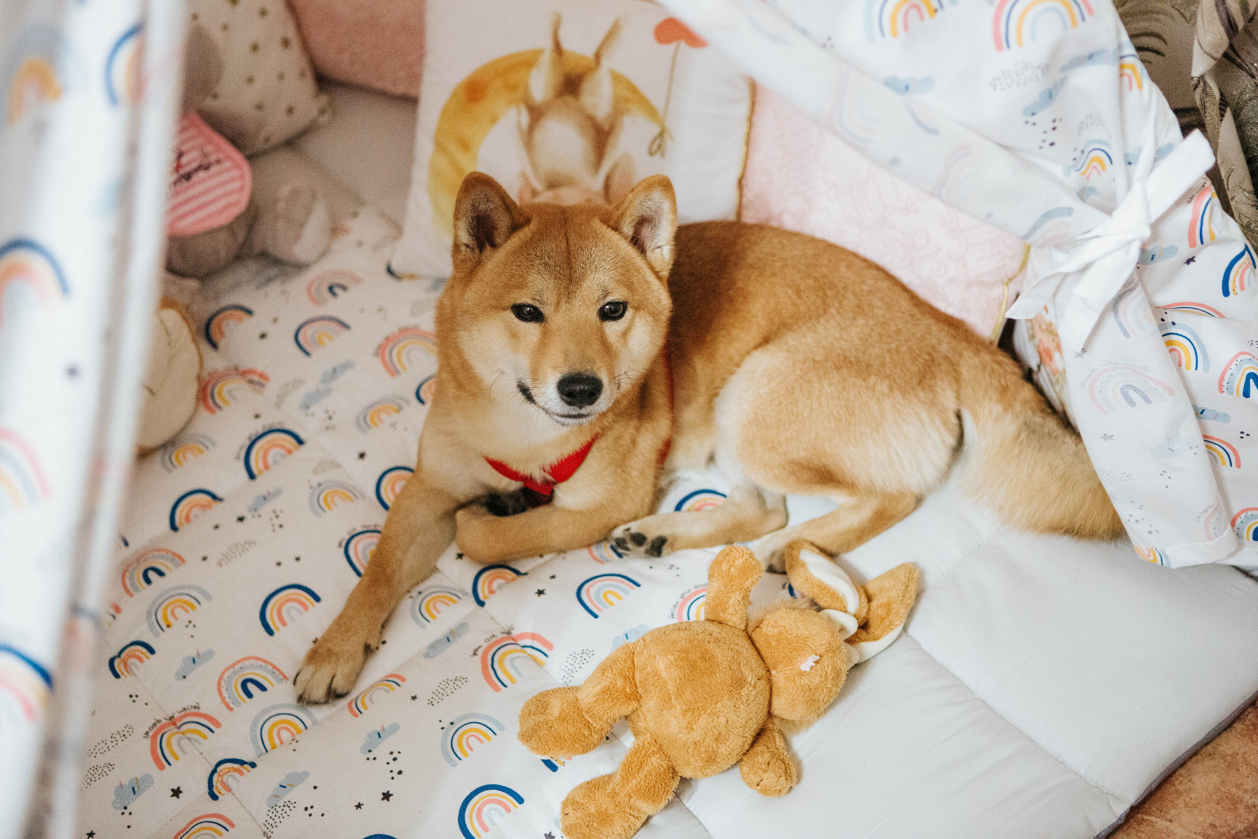 День рождение (1 год). Фотограф Александра Кузнецова
