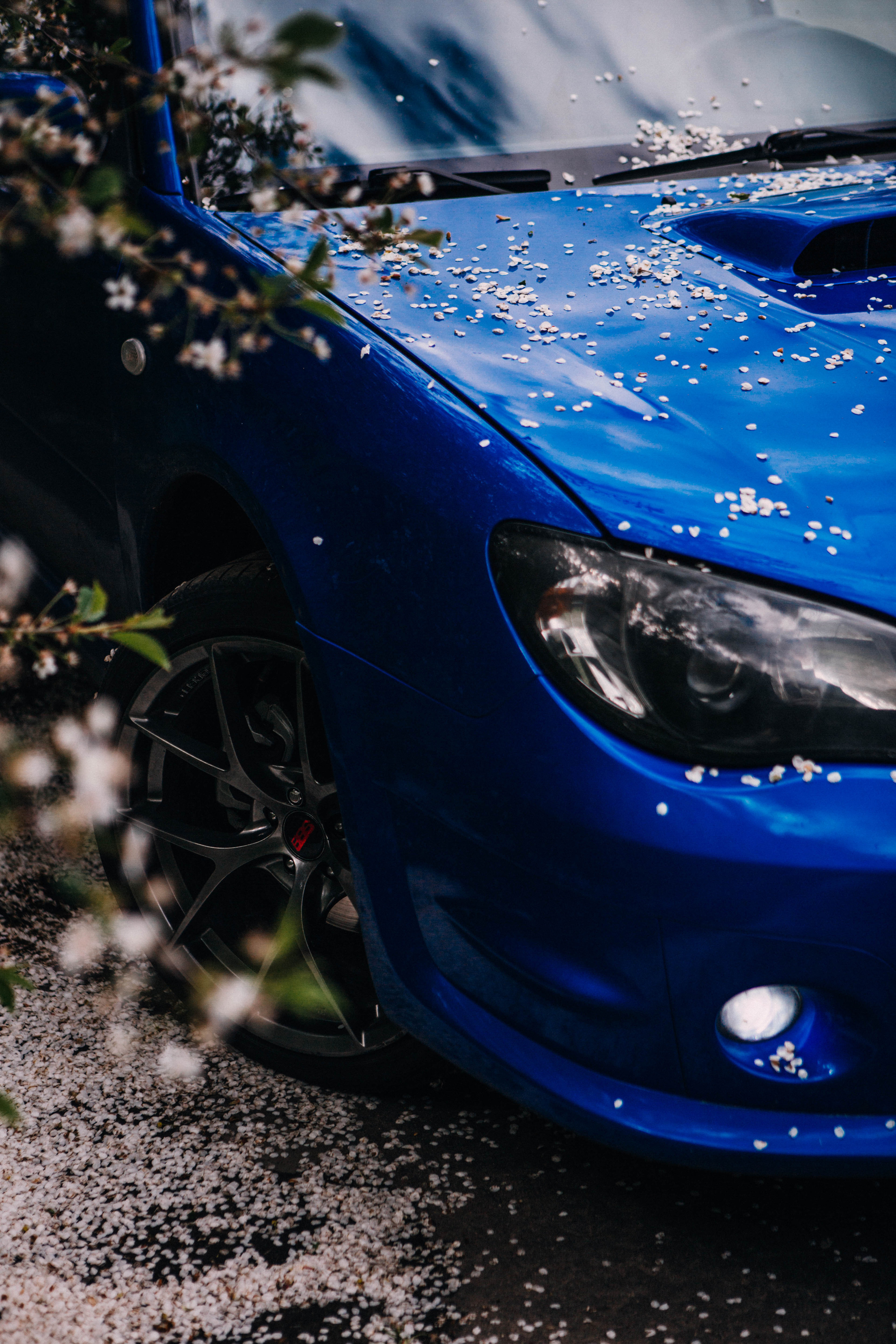 Субару. Фотограф Александра Кузнецова