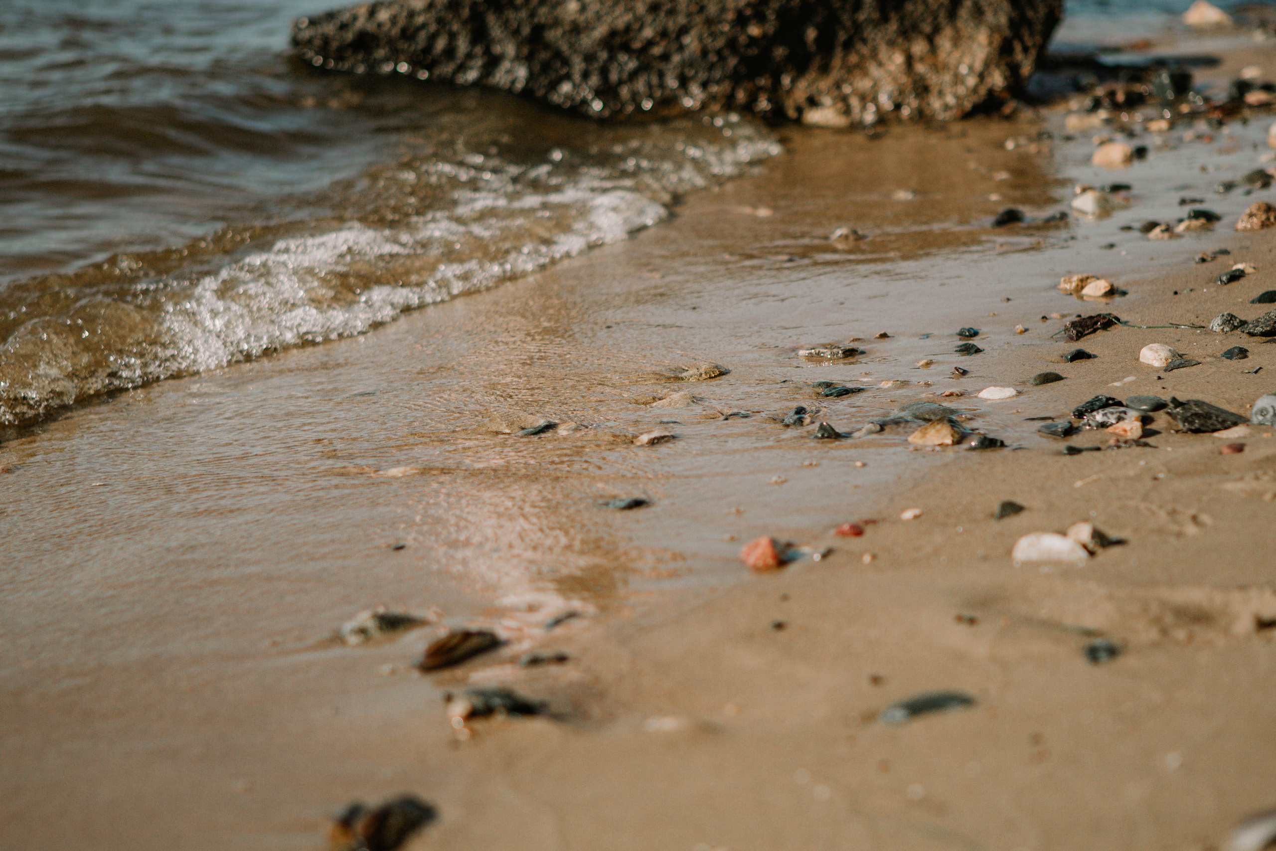 Семья Чубуковых. Фотограф Александра Кузнецова