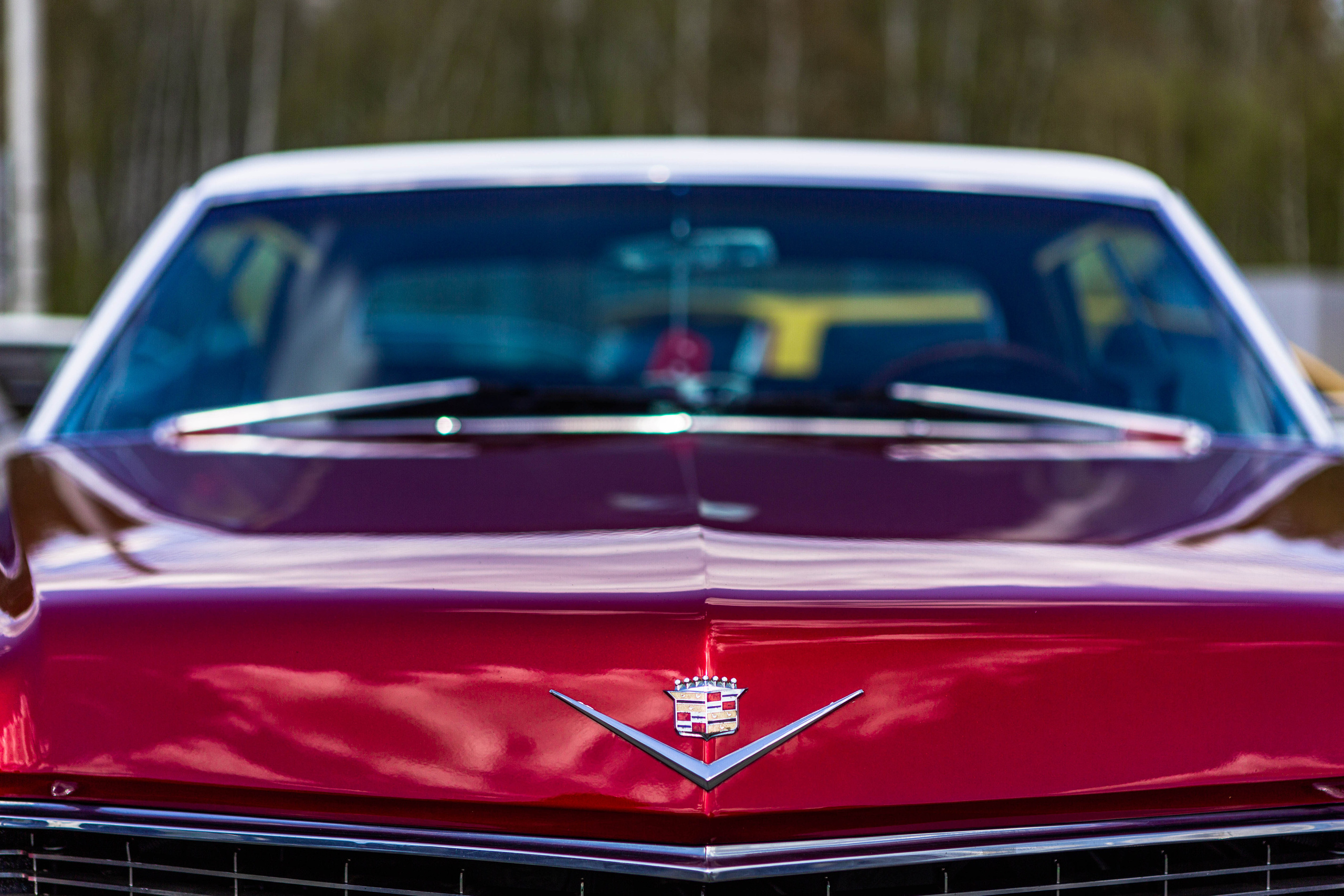 Открытие сезона 2022. Фотограф Александра Кузнецова