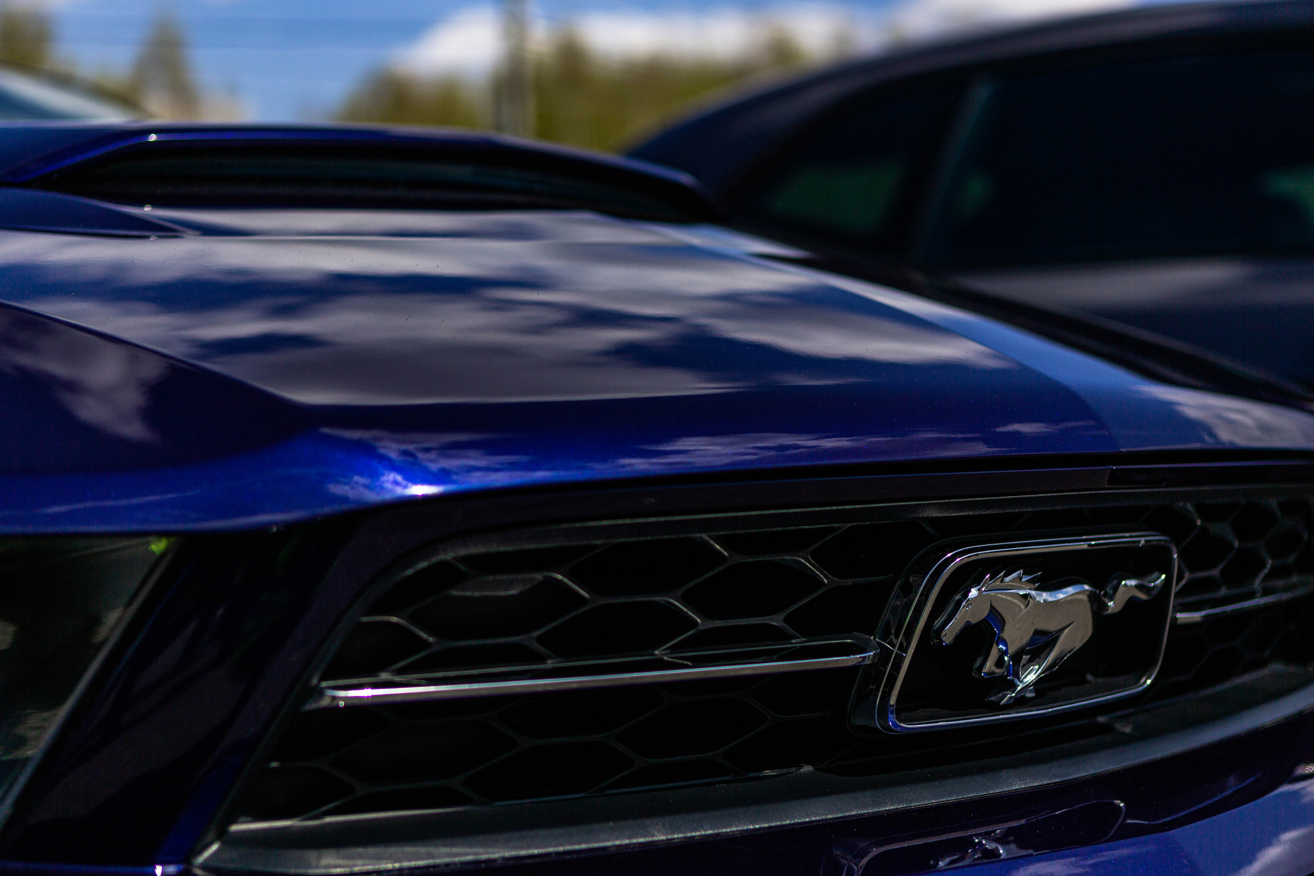 Открытие сезона 2022. Фотограф Александра Кузнецова