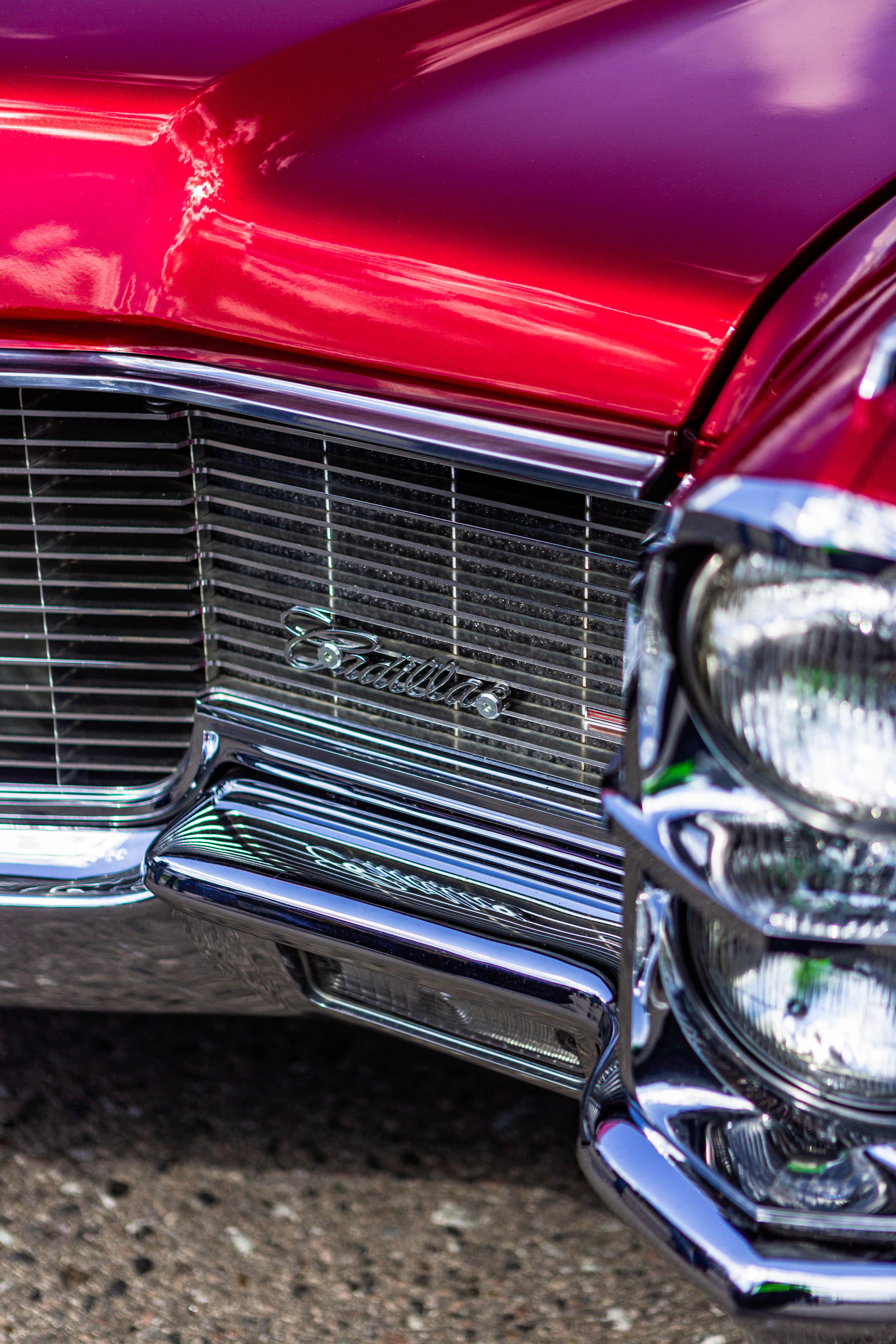 Открытие сезона 2022. Фотограф Александра Кузнецова