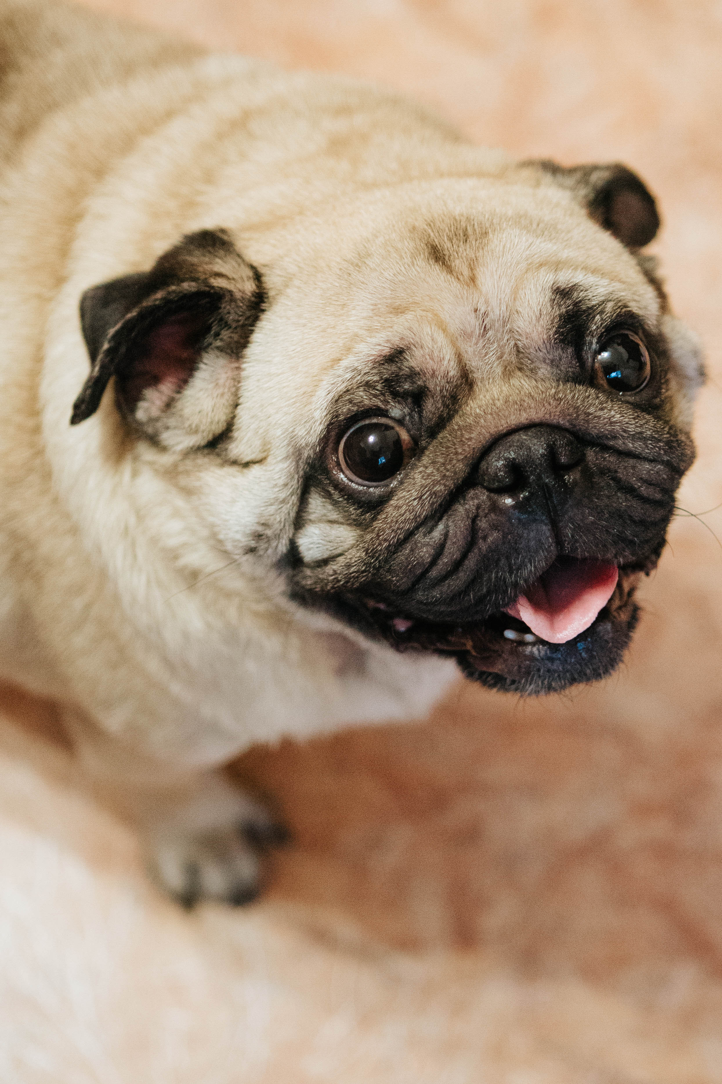 День рождение (1 год). Фотограф Александра Кузнецова