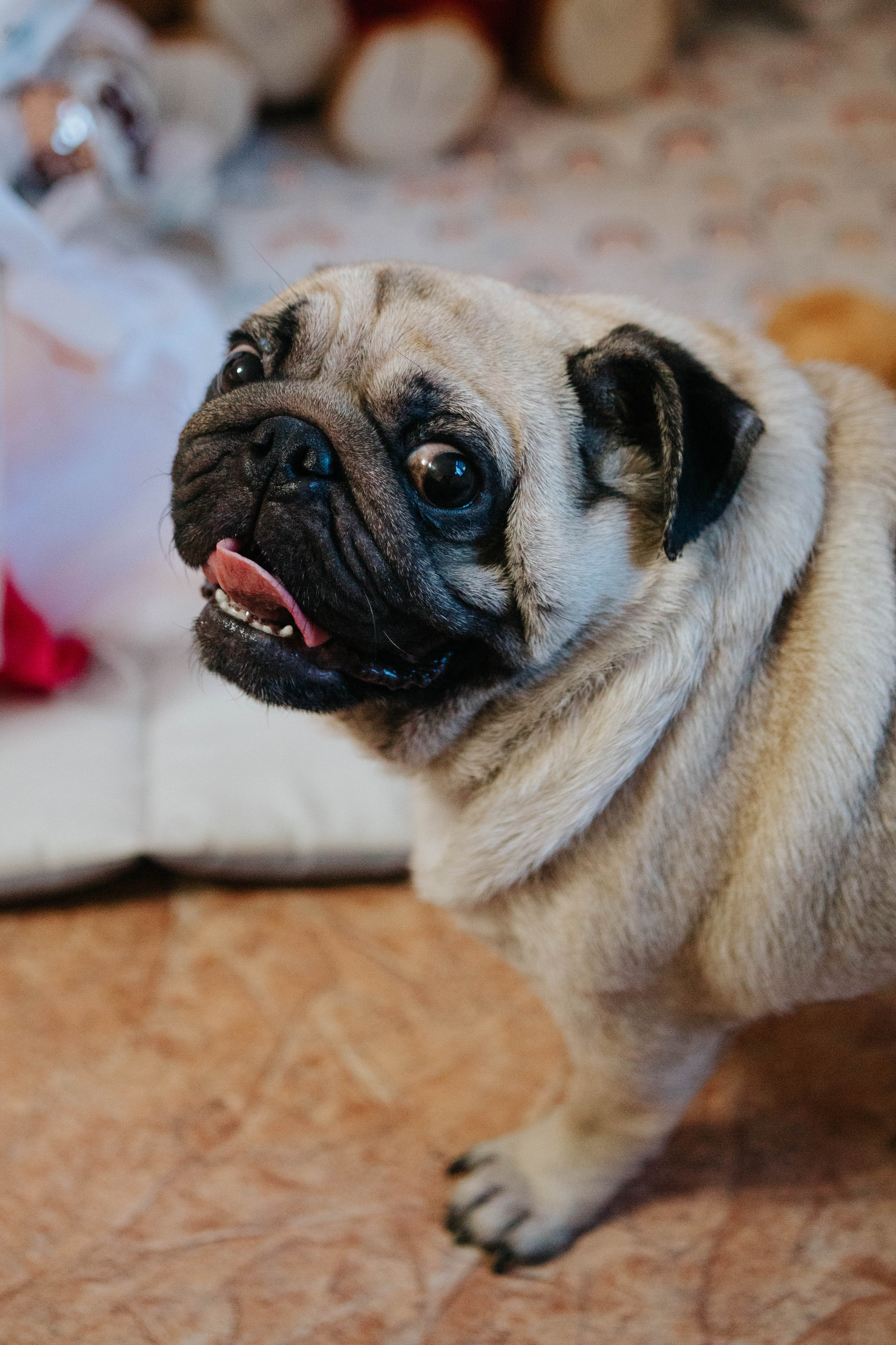 День рождение (1 год). Фотограф Александра Кузнецова