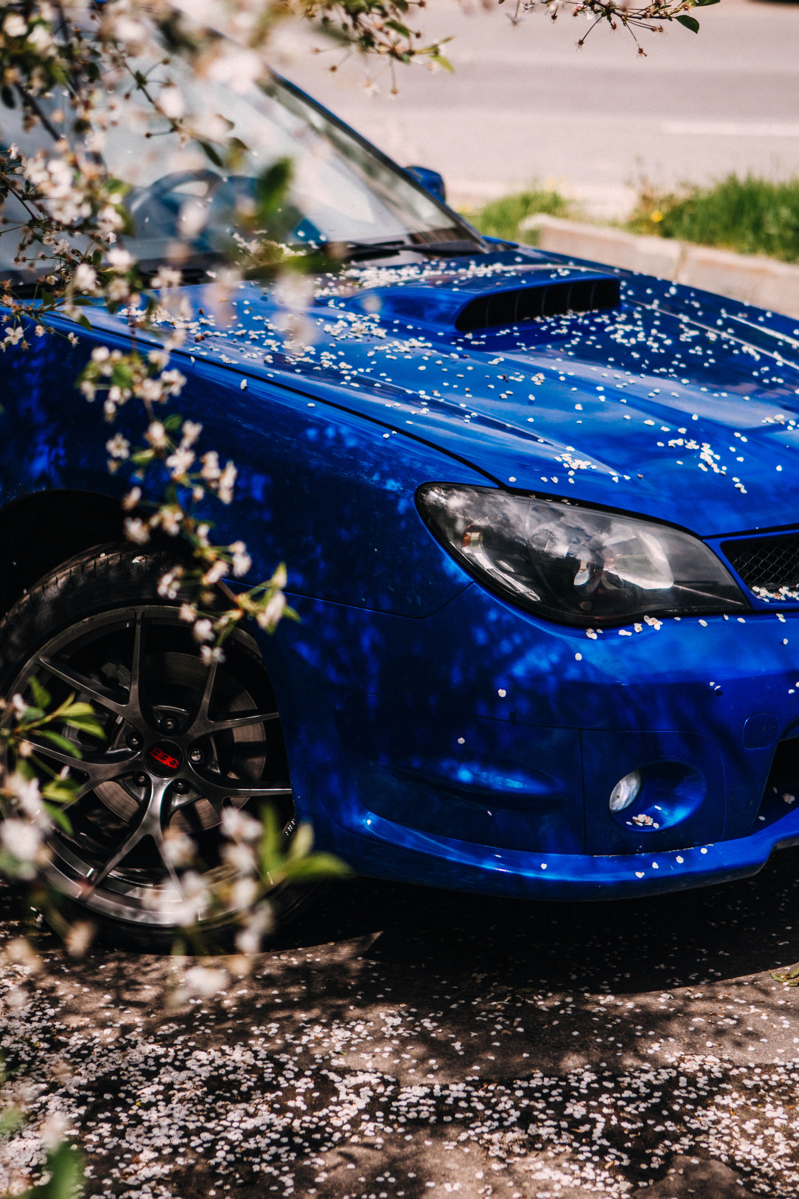 Субару. Фотограф Александра Кузнецова