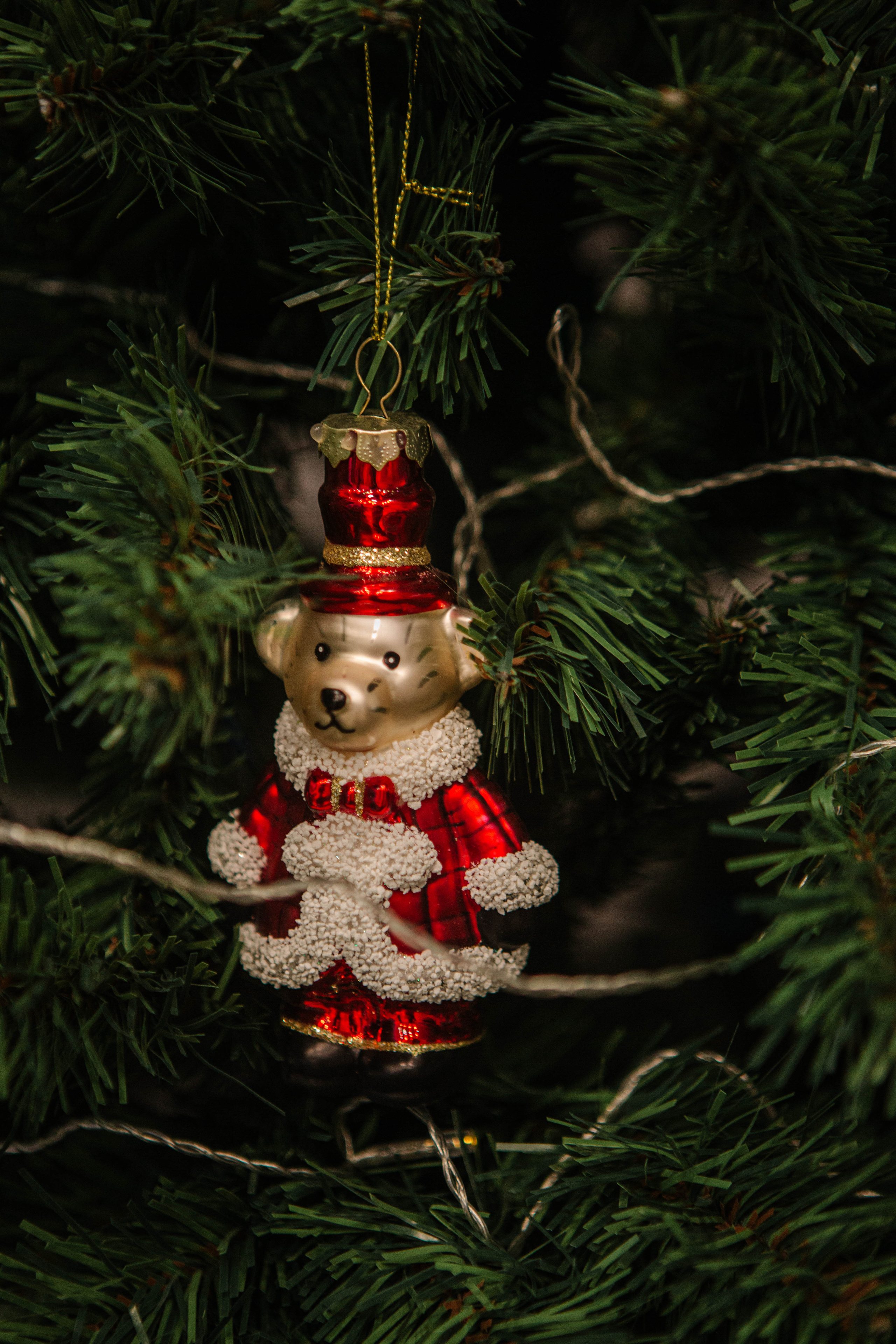 Новый год. Фотограф Александра Кузнецова