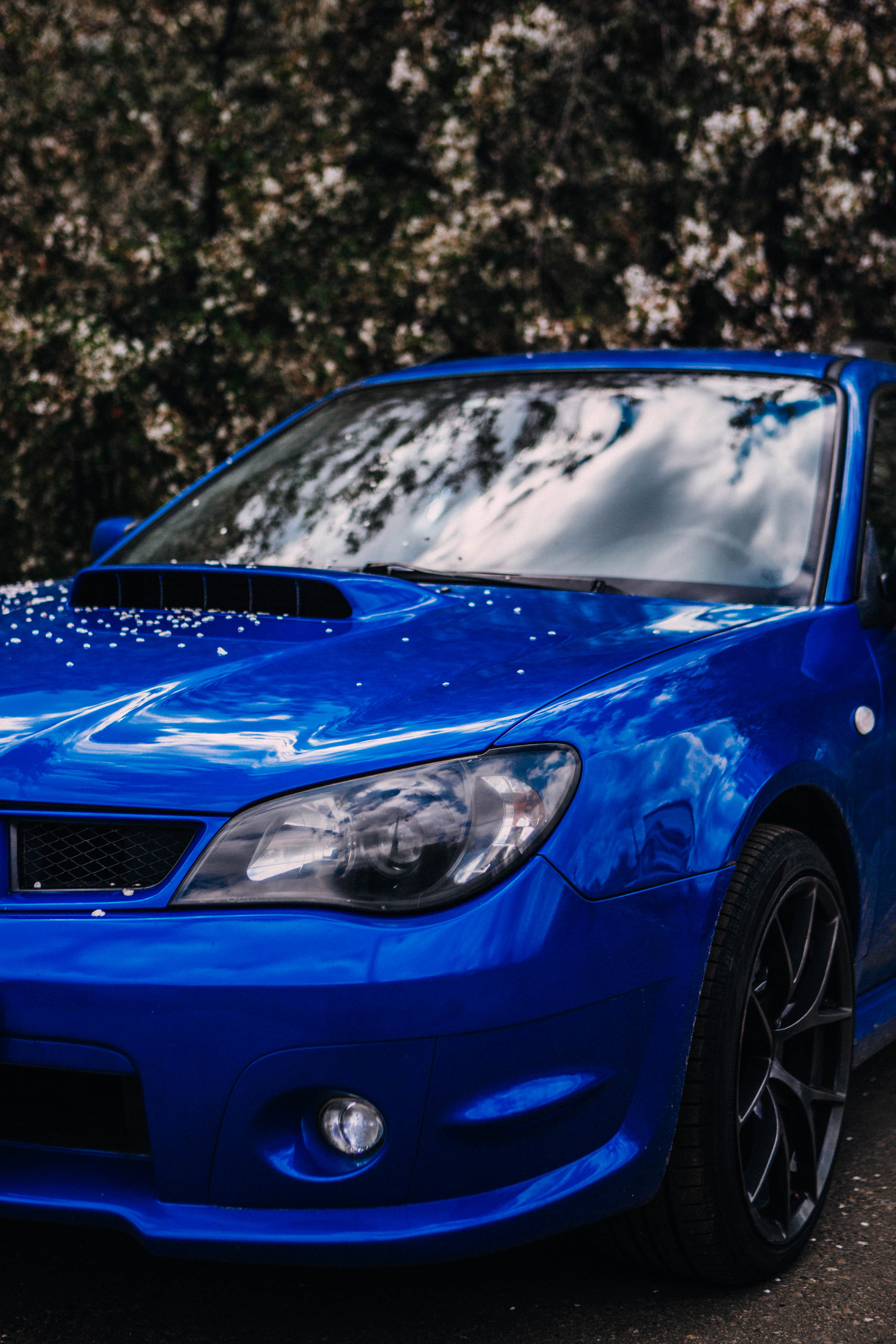 Субару. Фотограф Александра Кузнецова