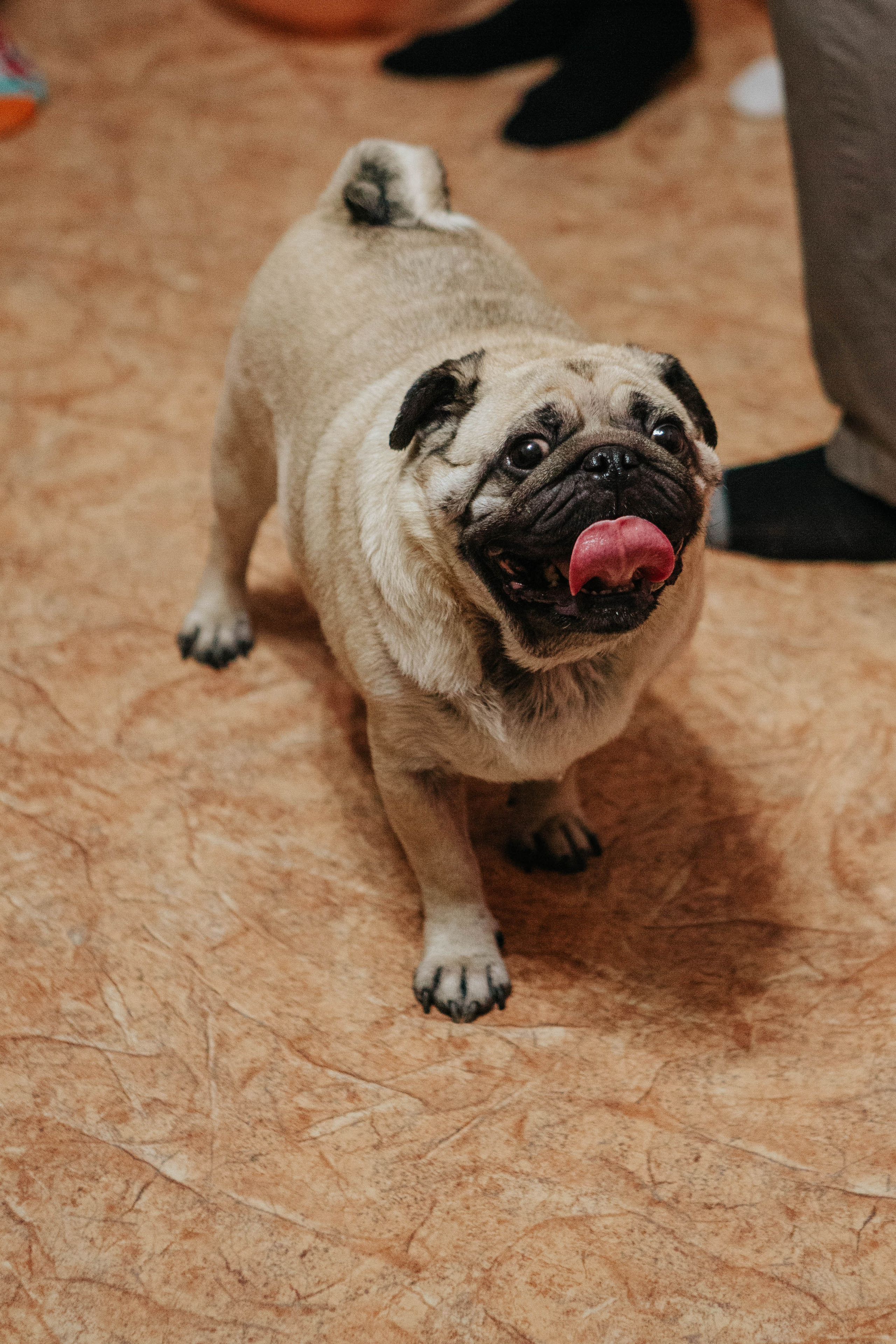 День рождение (1 год). Фотограф Александра Кузнецова