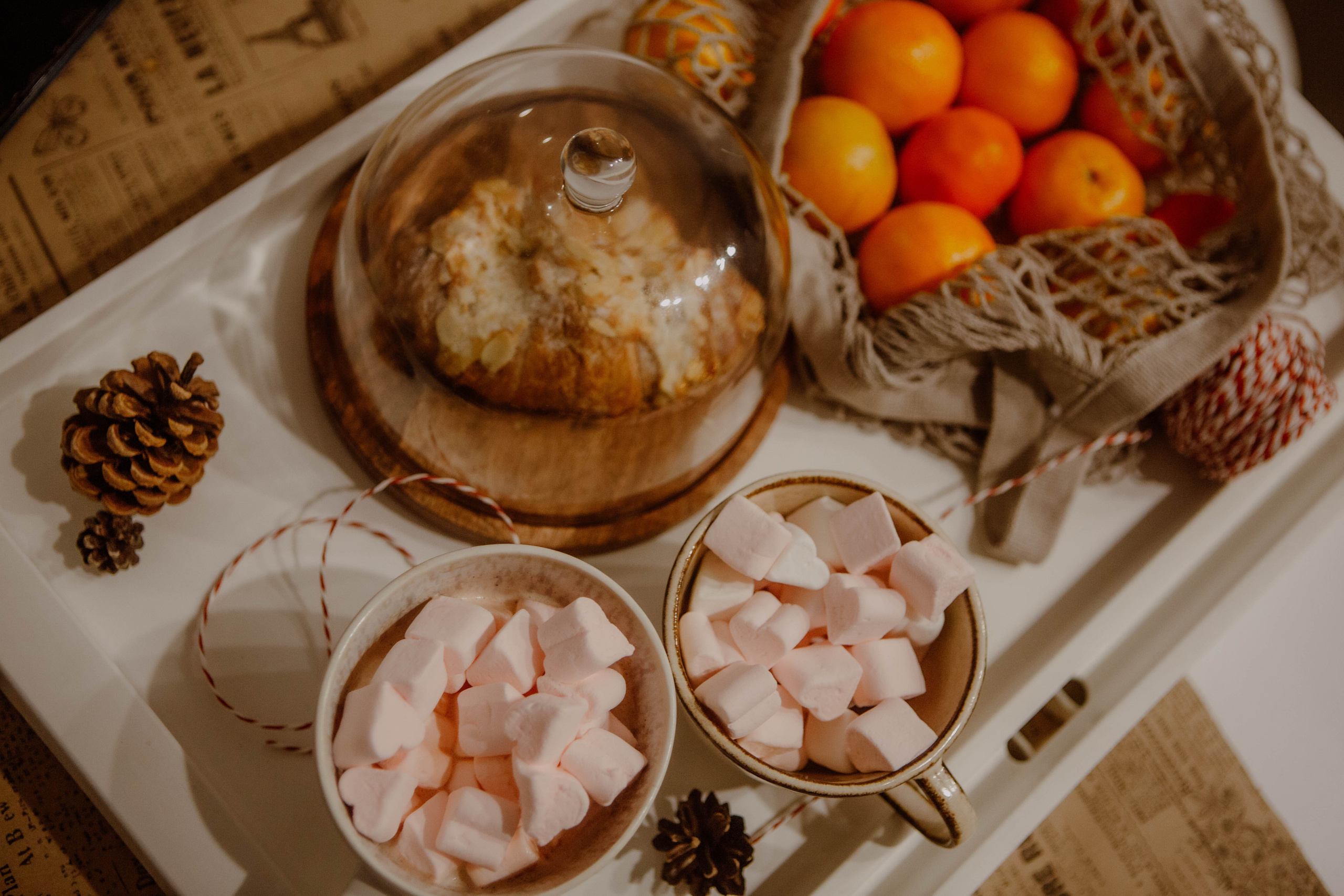 Новый год. Фотограф Александра Кузнецова