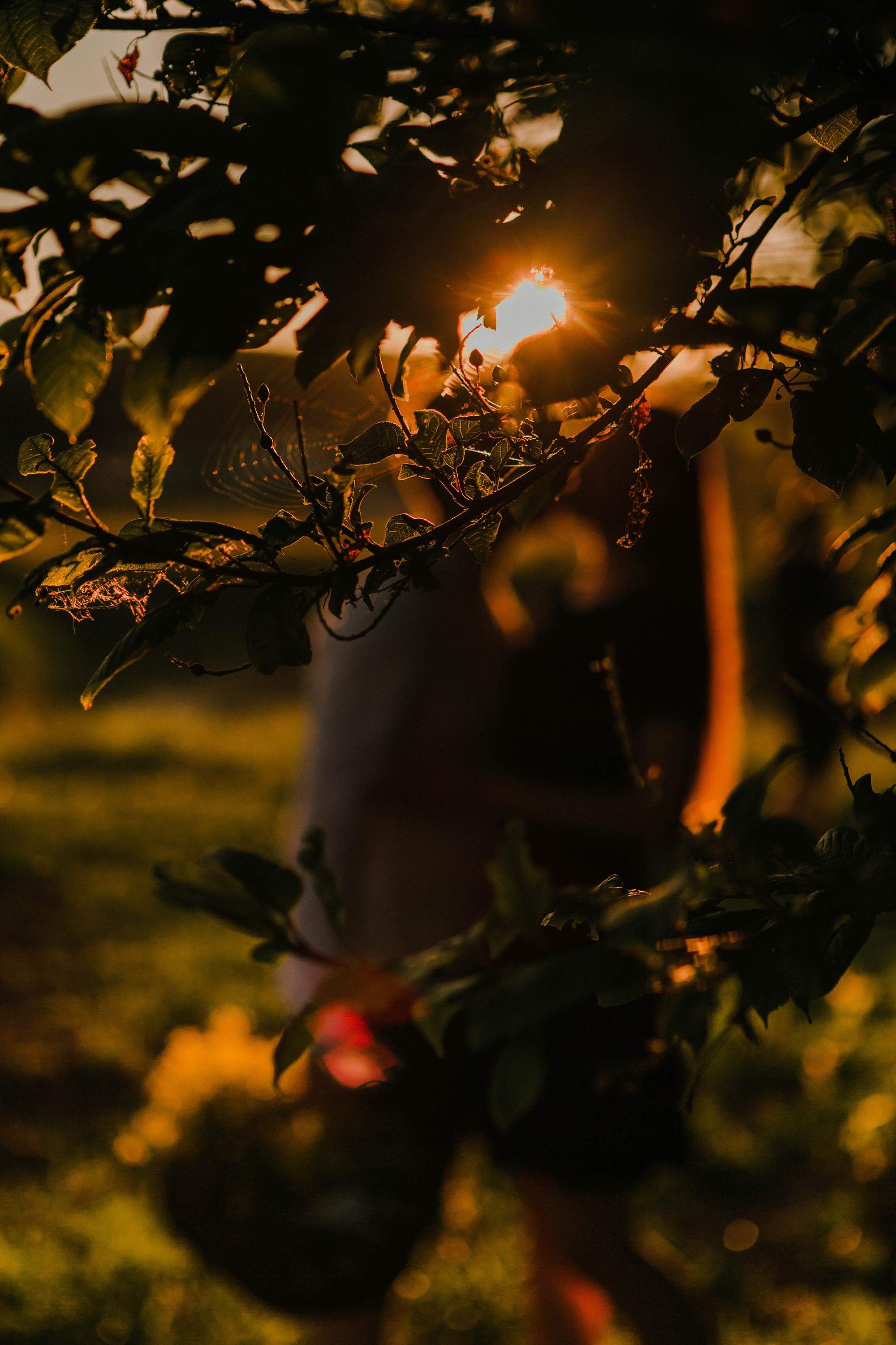 Оксана и Андрей. Фотограф Александра Кузнецова