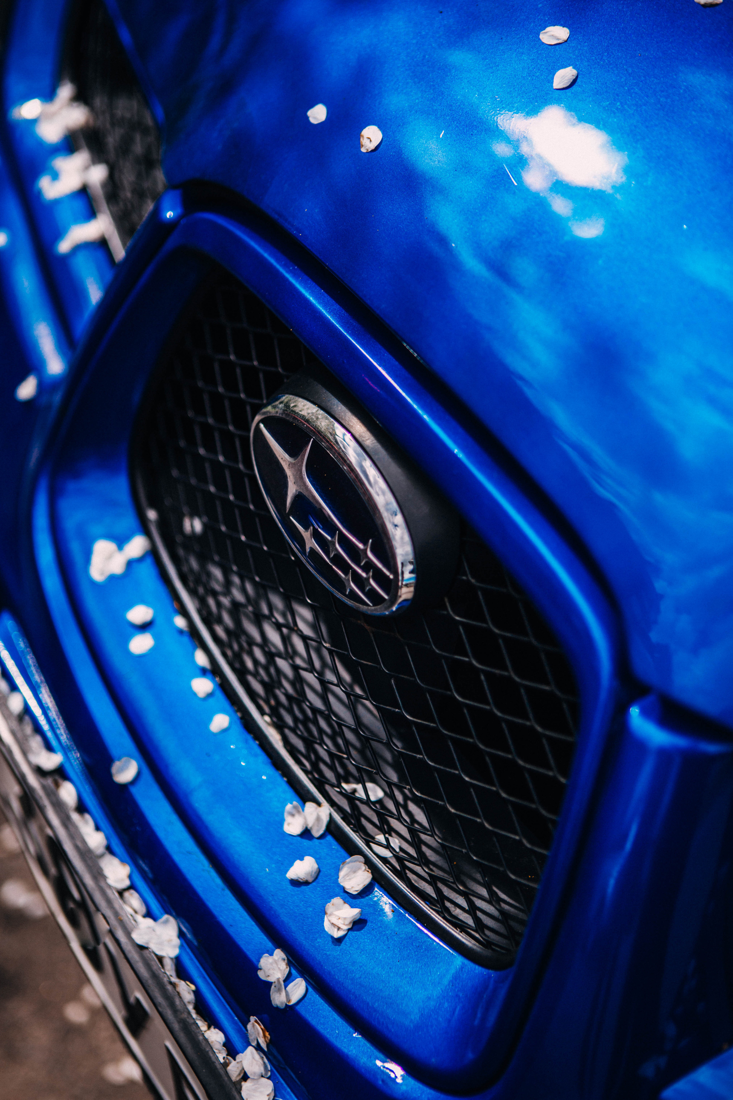 Субару. Фотограф Александра Кузнецова