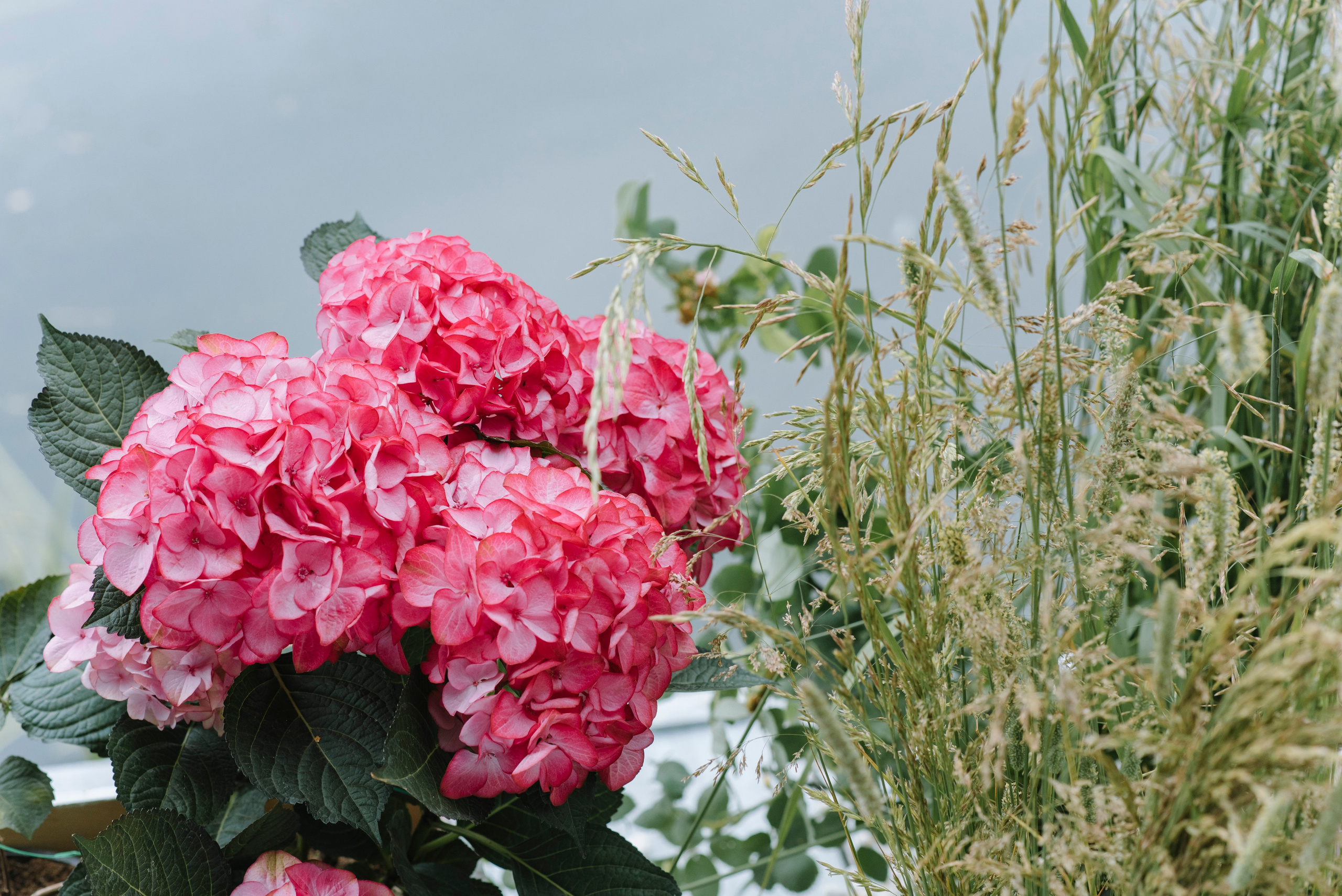 Ресторан Причал. Оформление свадеб, декор свадеб Вера Маркова, Москва
