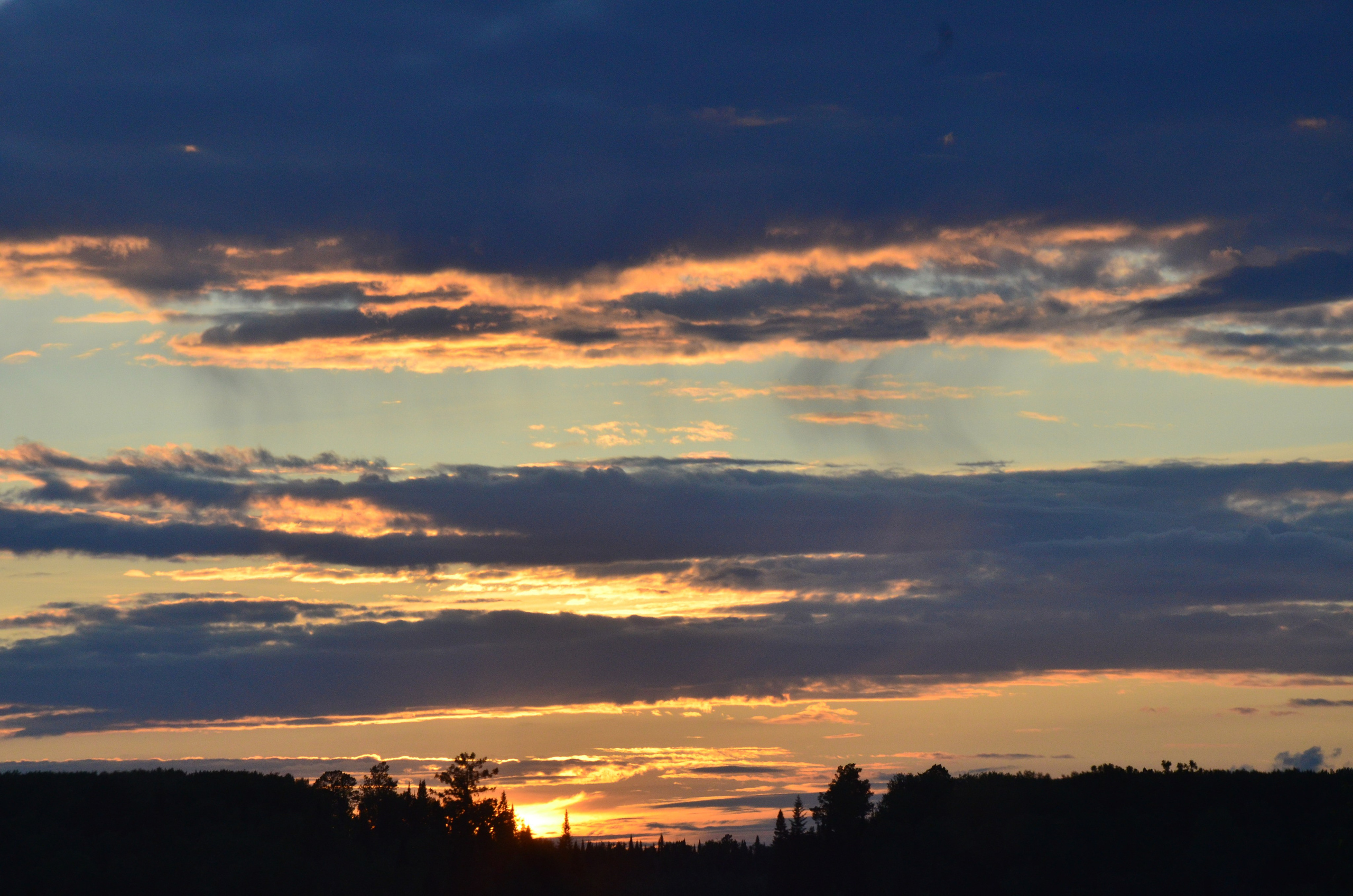 Дары природы. Фотограф viktor viktor