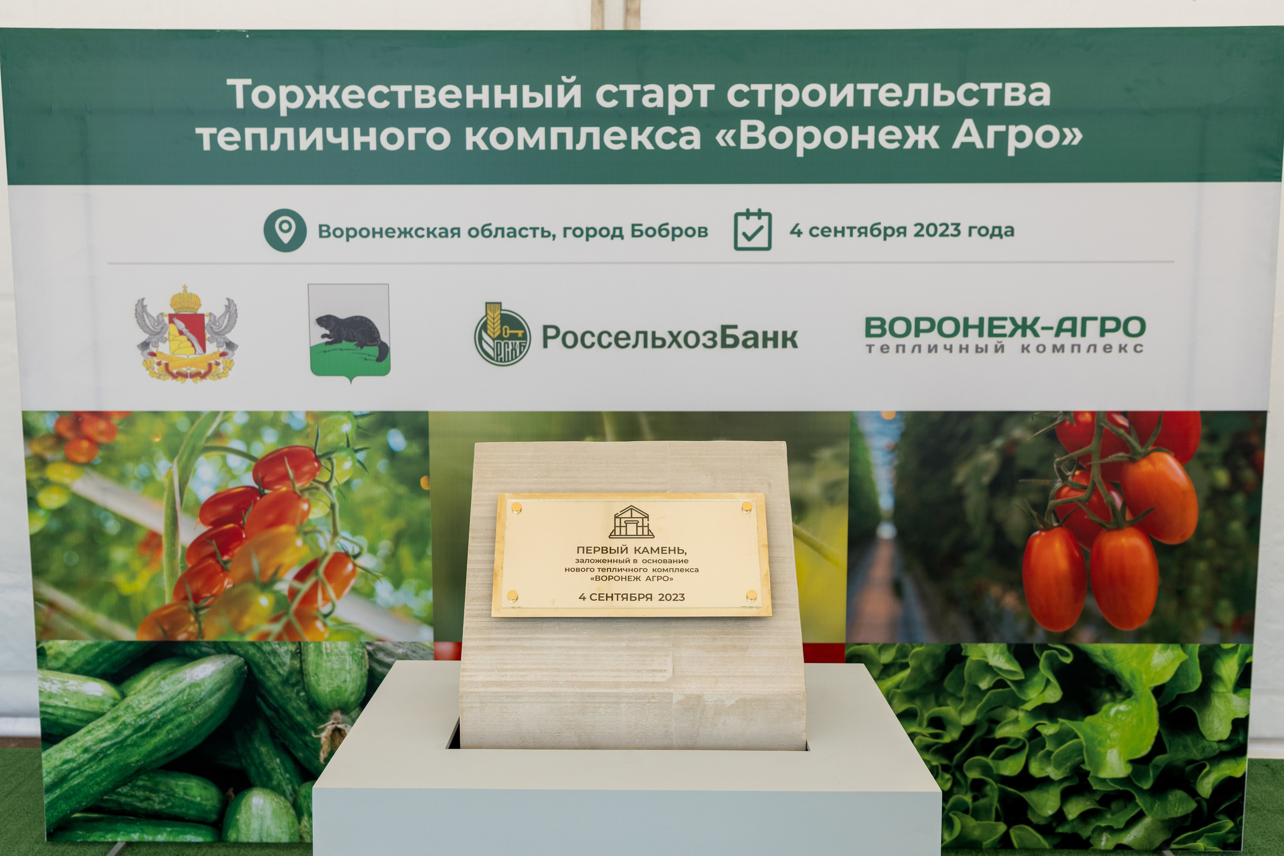 Воронеж Агро-Первый камень. Владислав Волков | Фотография и видеосъемка в Воронеже