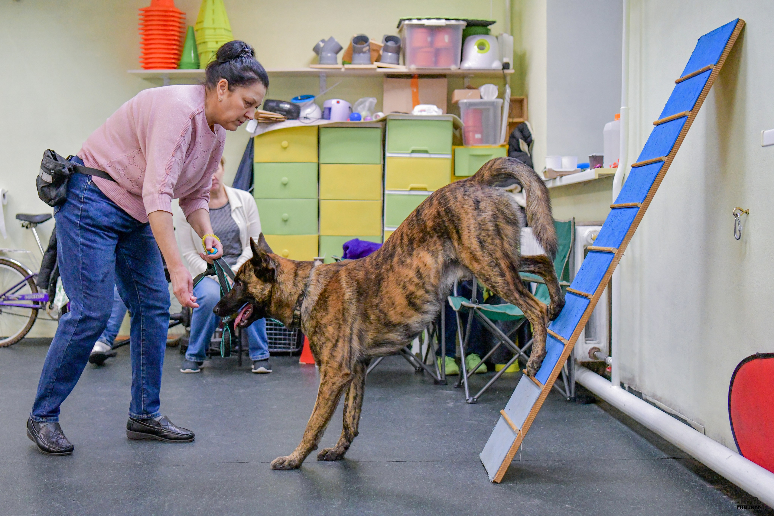 Кинологический клуб «Бодрый хвост». Свой взгляд через объектив