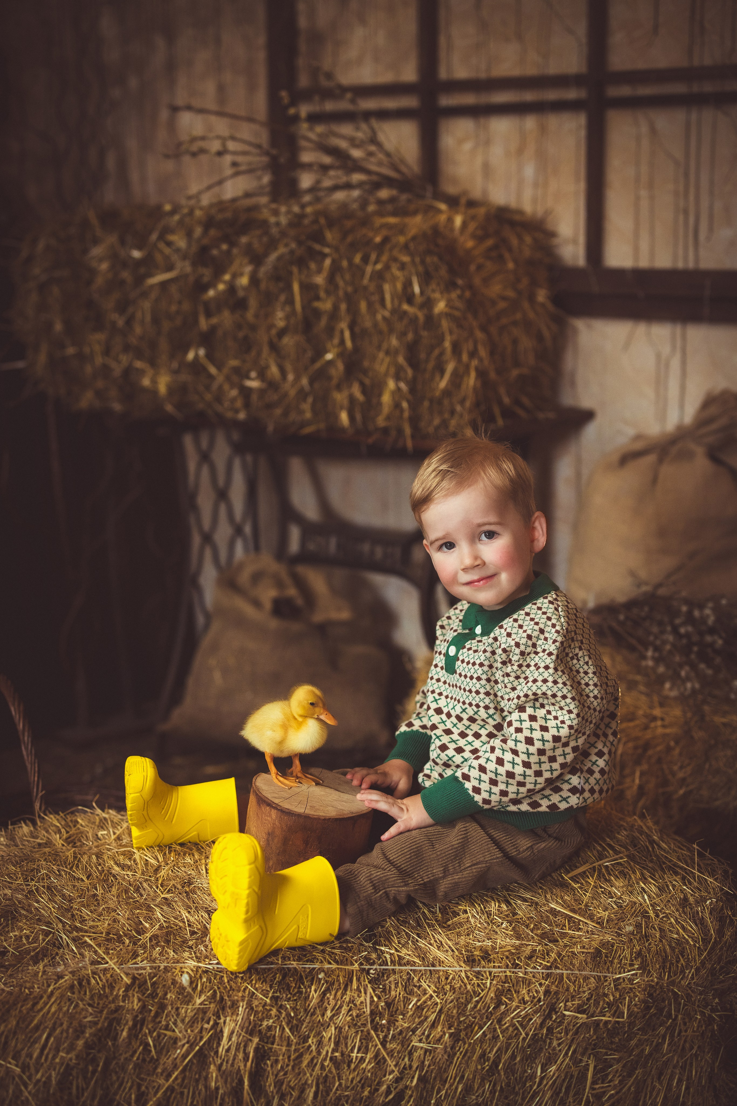 Пасхальный фотопроект с козочкой и утятами, в фотостудии «Эль» 2024 г. Семейный и детский фотограф в Краснодаре Анна Трашкова